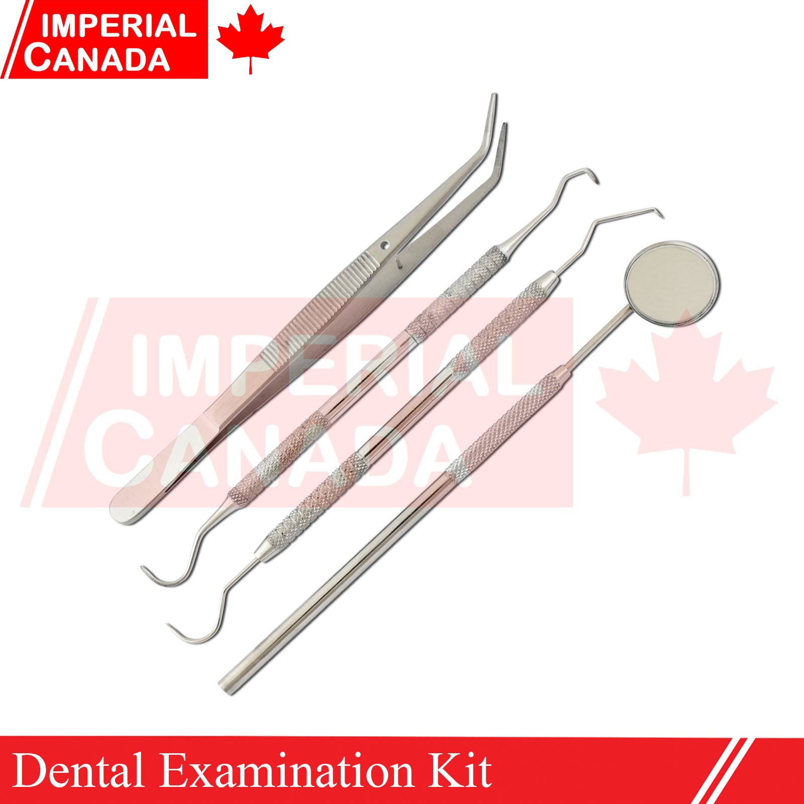 4 Pcs Basic Prophy Small Kit Dental Instruments Oral Examination Scalers DN-2542