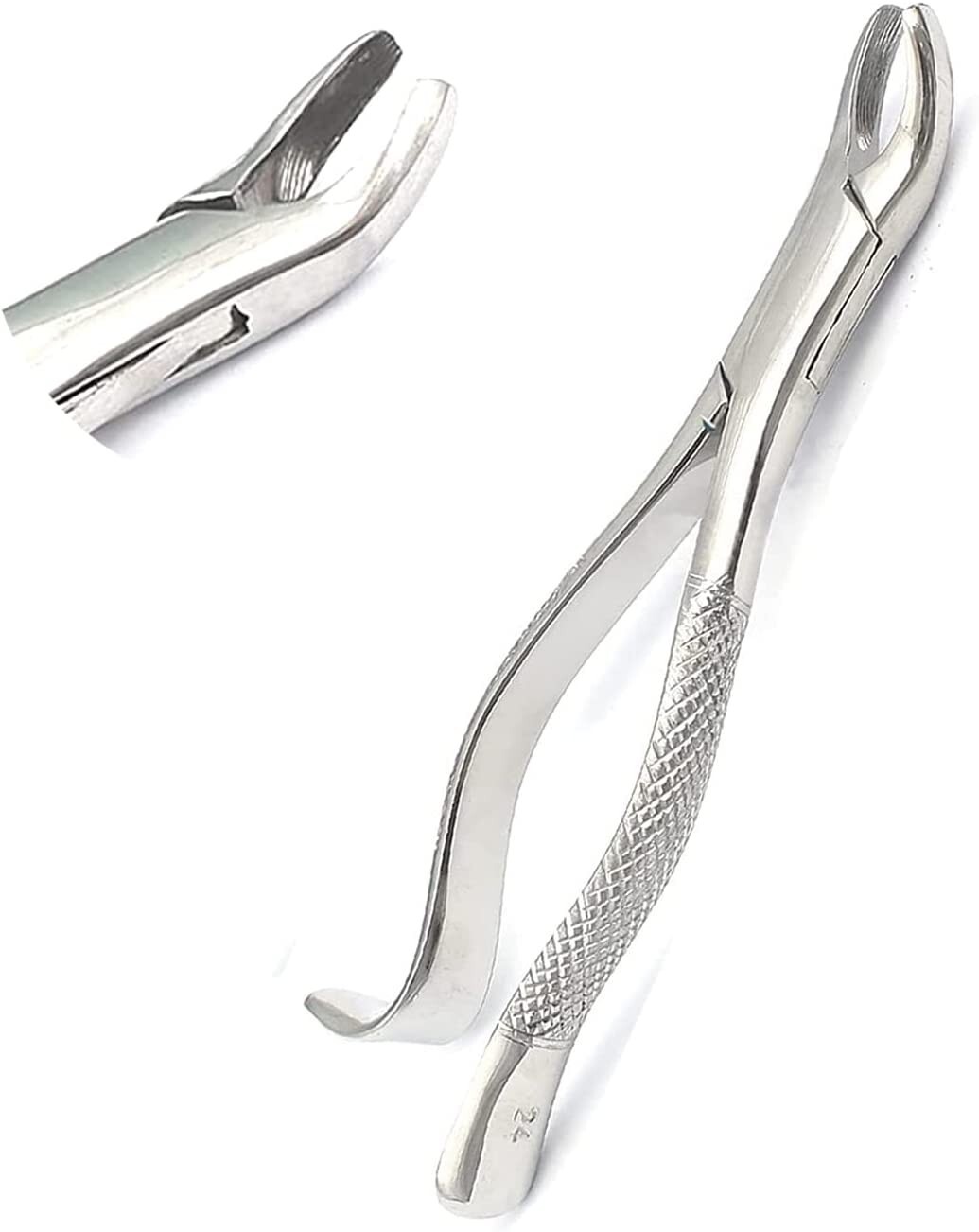 EXTRACTING FORCEPS #24 DENTAL SURGICAL INSTRUMENTS