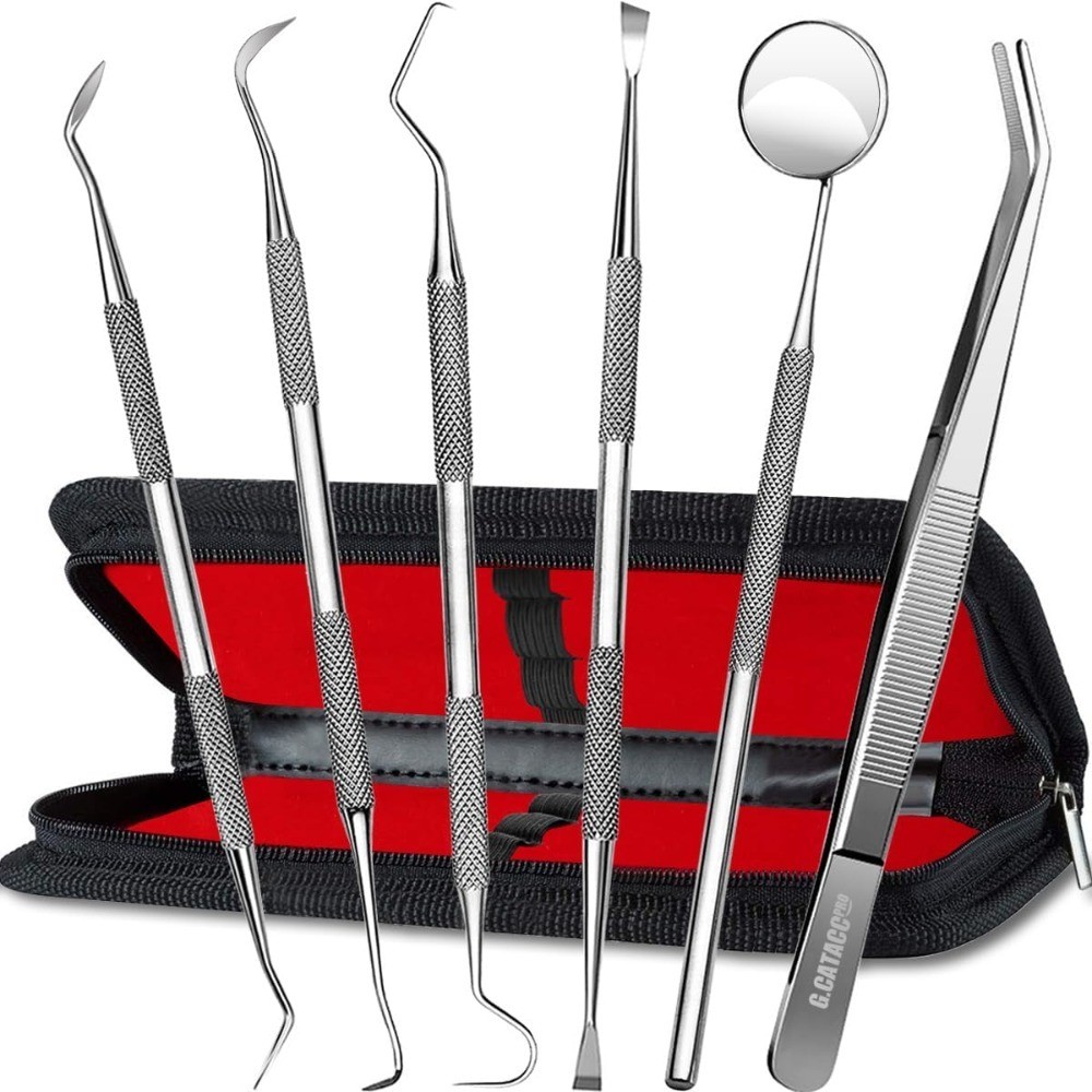 Professional Stainless Steel Dental Pick Teeth Cleaning Tools Hygiene Kit Plaque