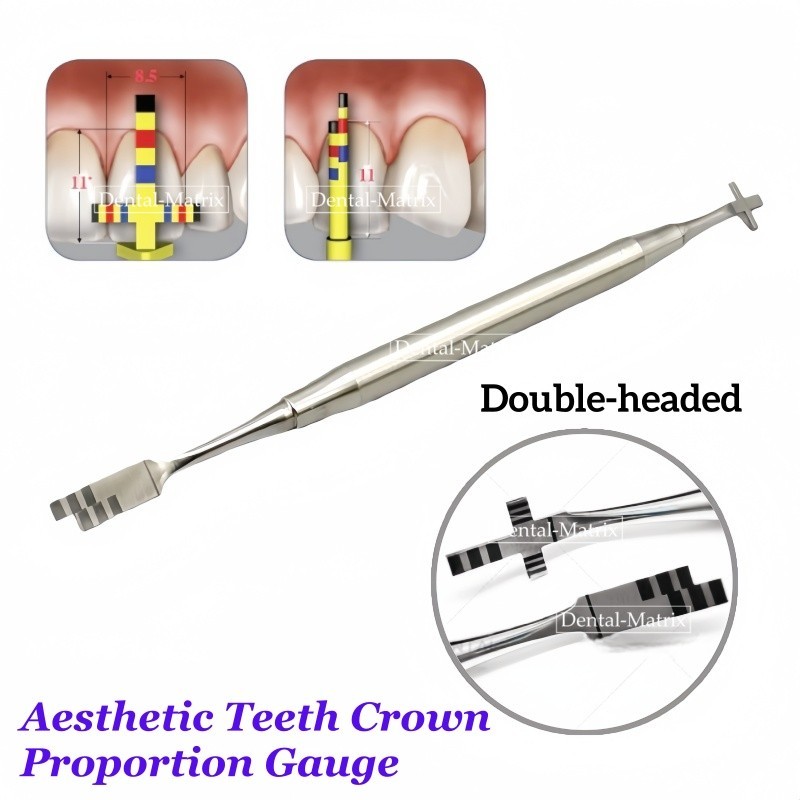 Dental Aesthetic Teeth Crown Proportion Gauge Stainless Measuring Instruments
