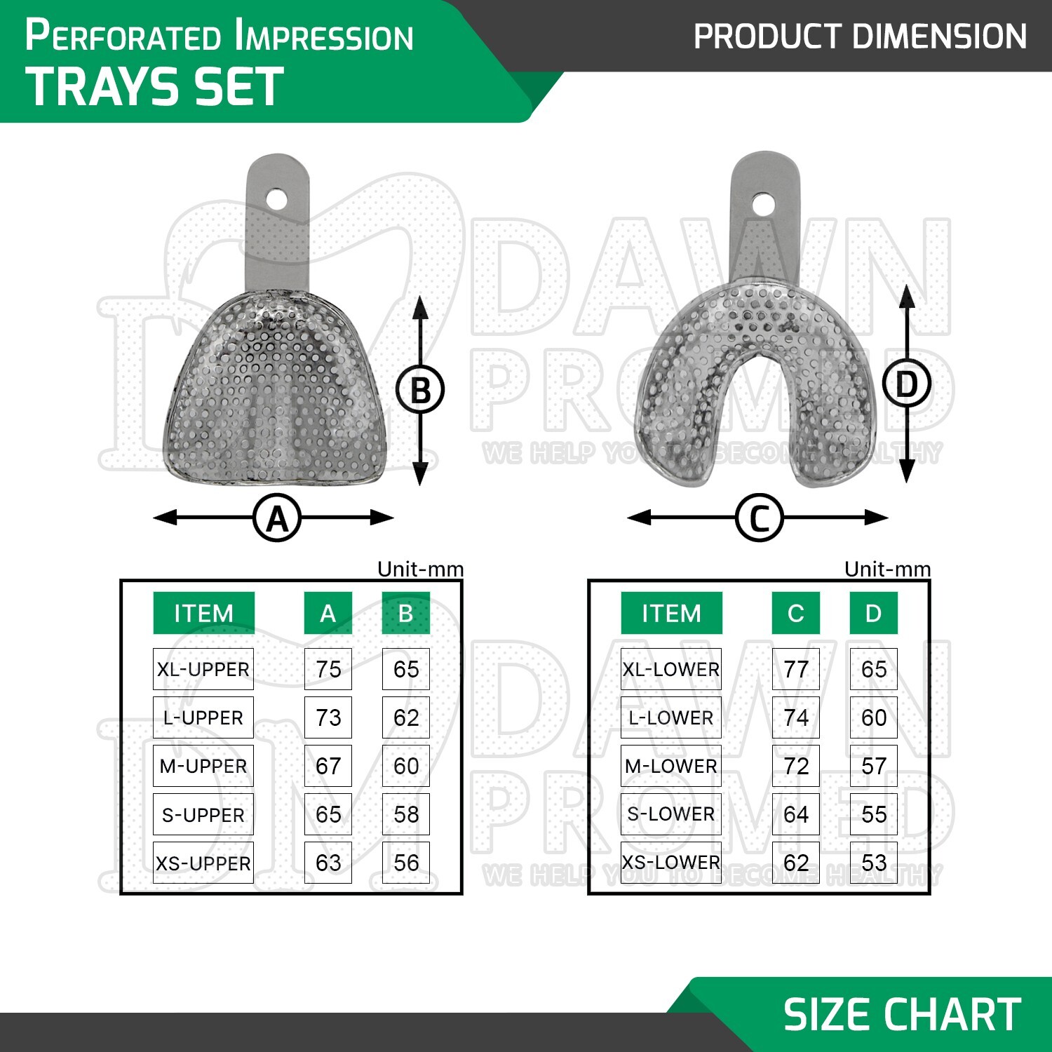 2 Pcs Small Perforated Impression Trays Upper & Lower Edentulous German Grade