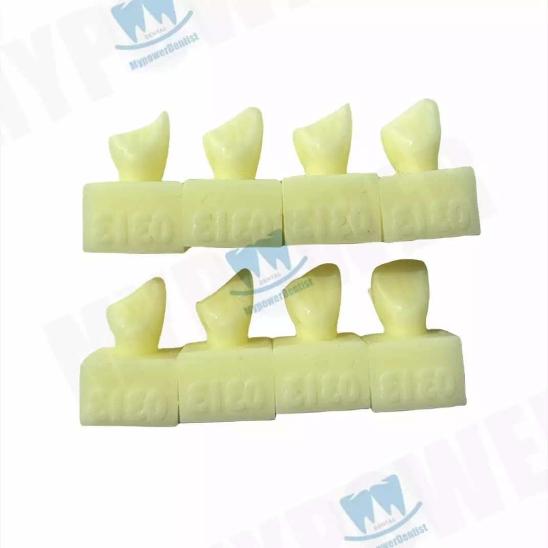 3Sets Dental Caries Decay Teeth Model Composite Restore Template Anterior Molar