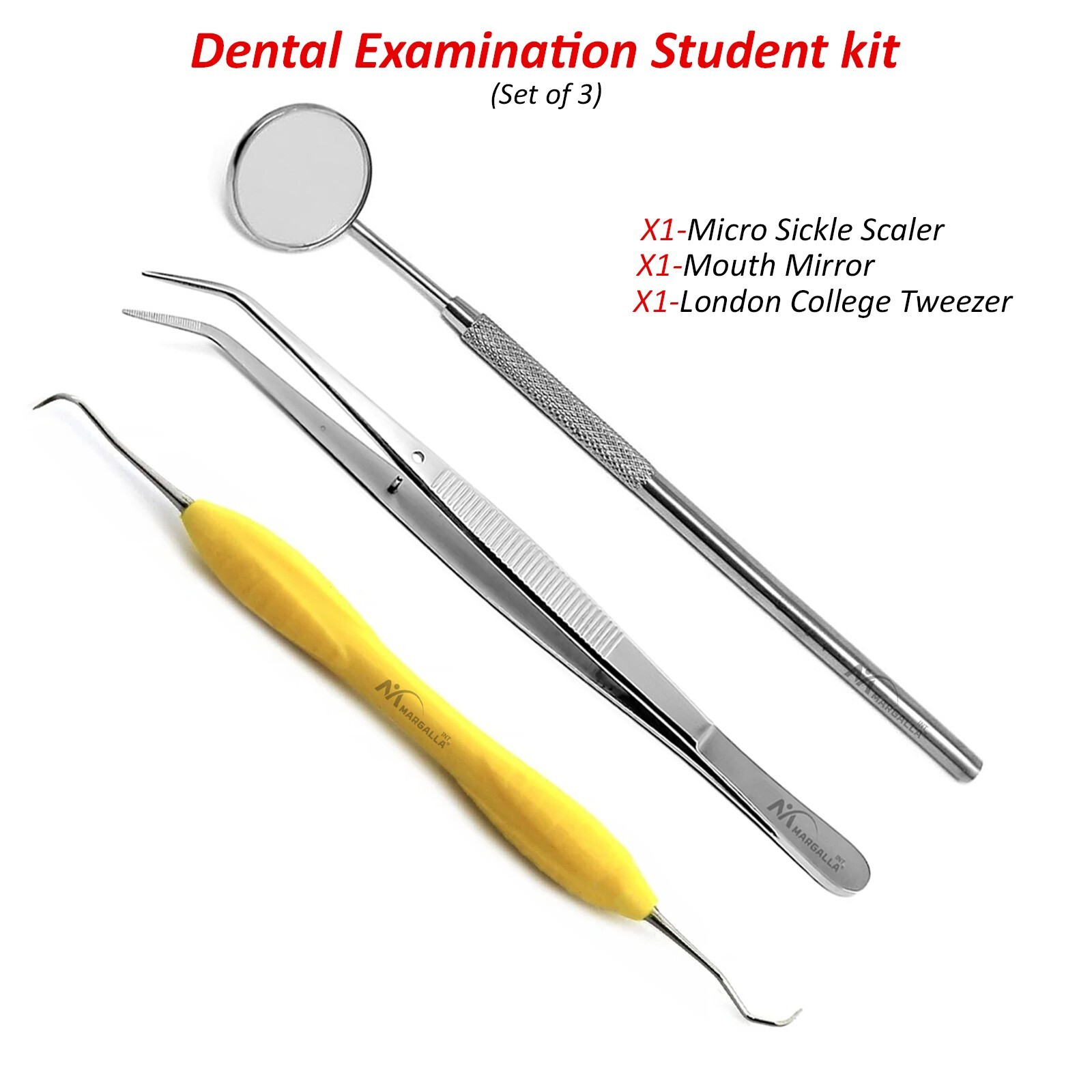 Hygienist Scaler Examination Set Dental Mirror Handle Teeth Inspection Tools Kit
