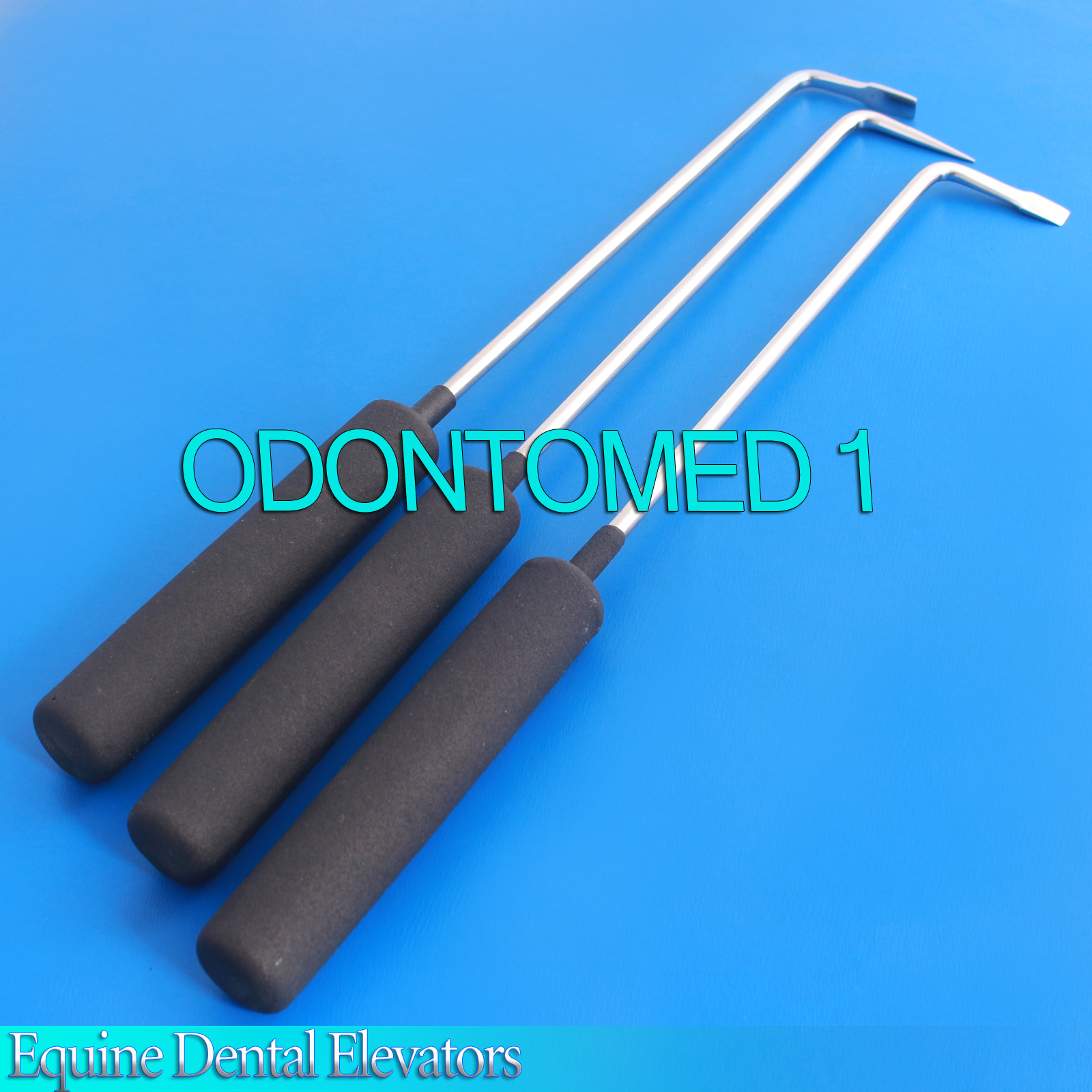 3 pc Equine Dental Elevators Veterinary Instruments VT-136
