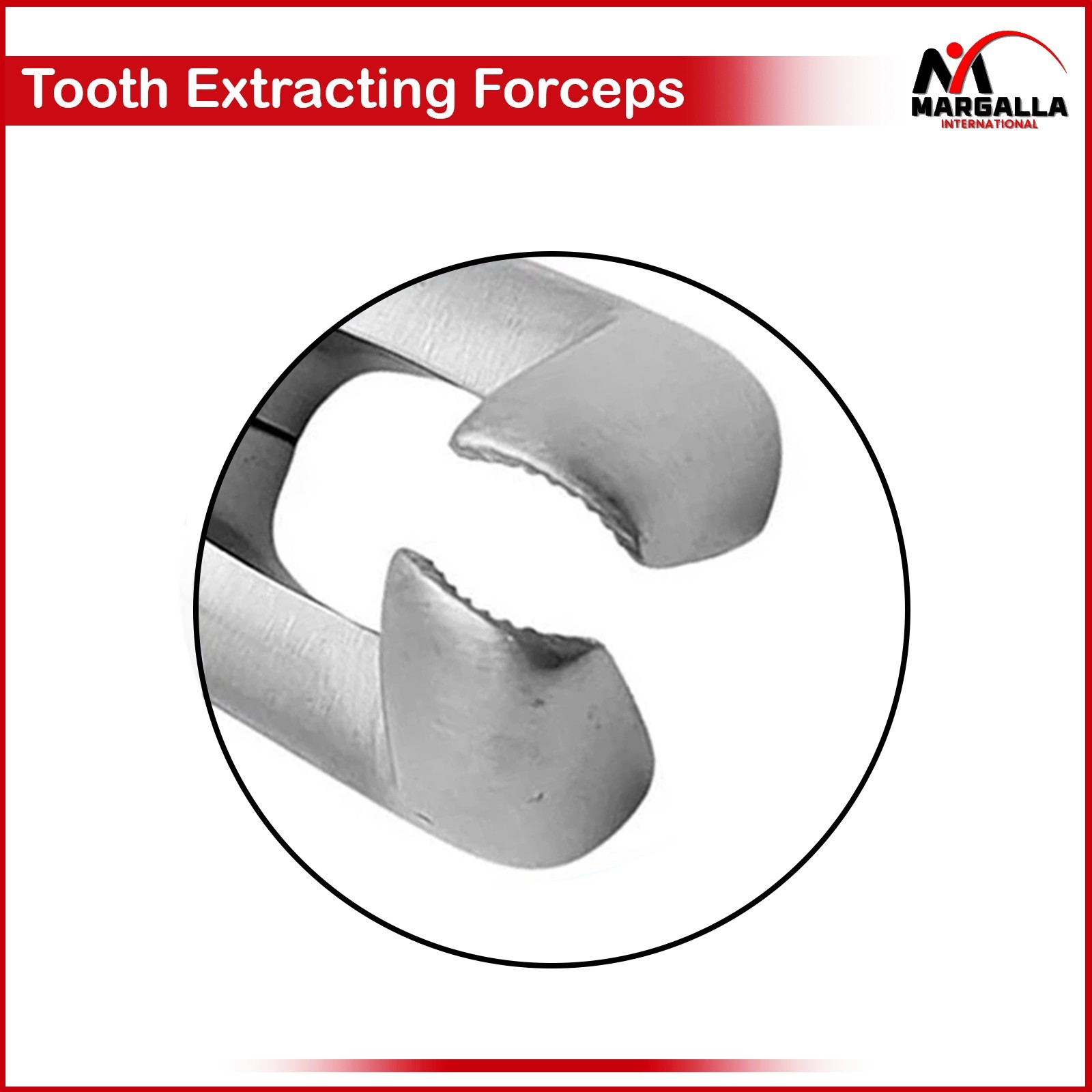 Dental Tooth Forceps Fig.79 Lower Third Molar Wisdom Teeth Extracting Extraction