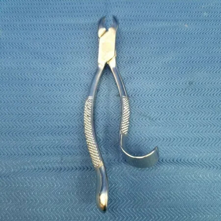 Clev-Dent Dental Forceps – 18L