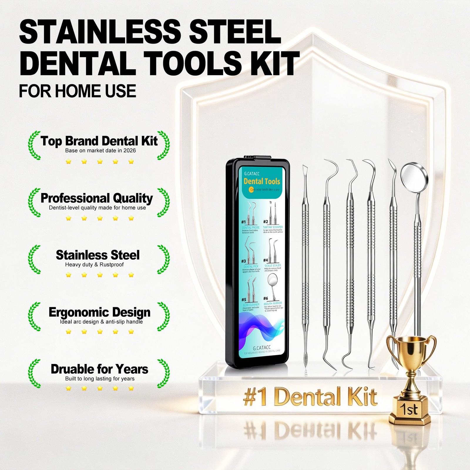 Dental Tools, Dental Pick for Teeth Cleaning, Stainless Steel Hygiene Kit with T