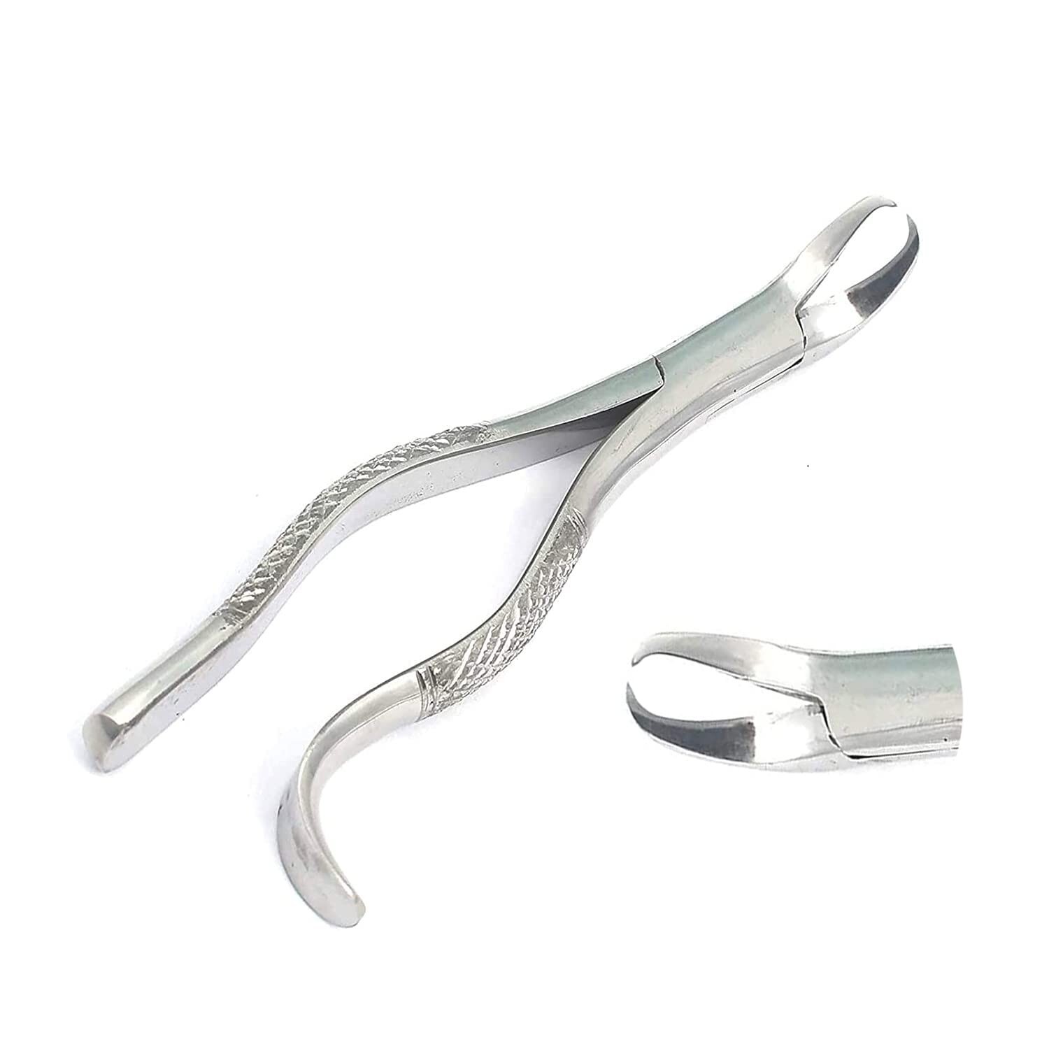 Tooth Extracting Forceps # 16S Surgical Dental Instruments