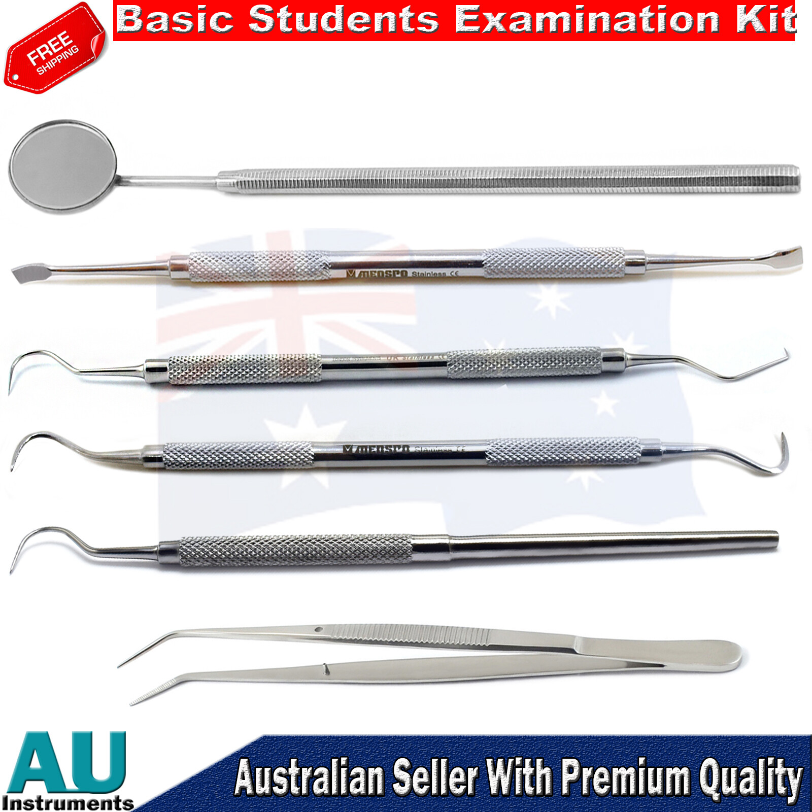 Dentistry Mouth Teeth Inspection Kit Instruments Plaque Calculus Tooth Scrapers