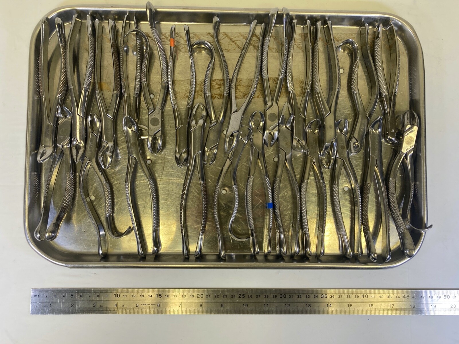 24 Piece Clev-Dent Premier Dental Extraction Forcep Set w/ Perforated Pan