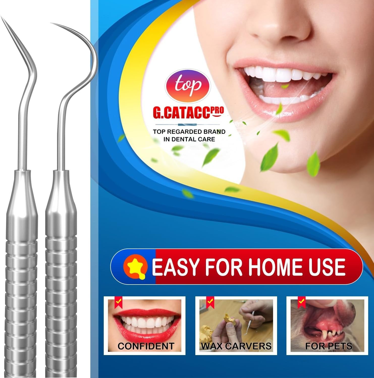Dental Tools, Dental Pick for Teeth Cleaning, Stainless Steel Hygiene Kit with T