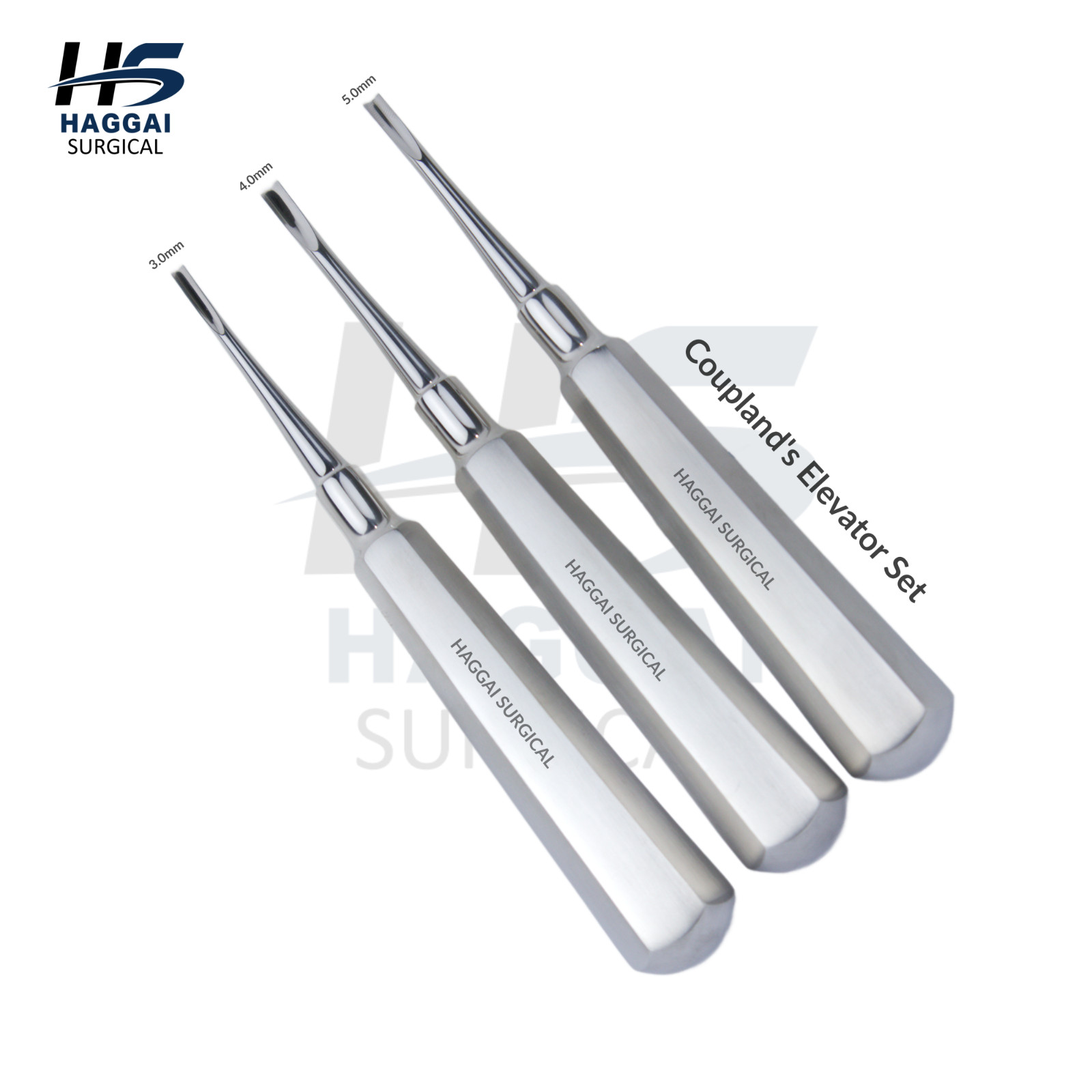 Coupland Elevator Curved Set – 3 Pcs (3 mm / 4 mm / 5 mm) Stainless Steel