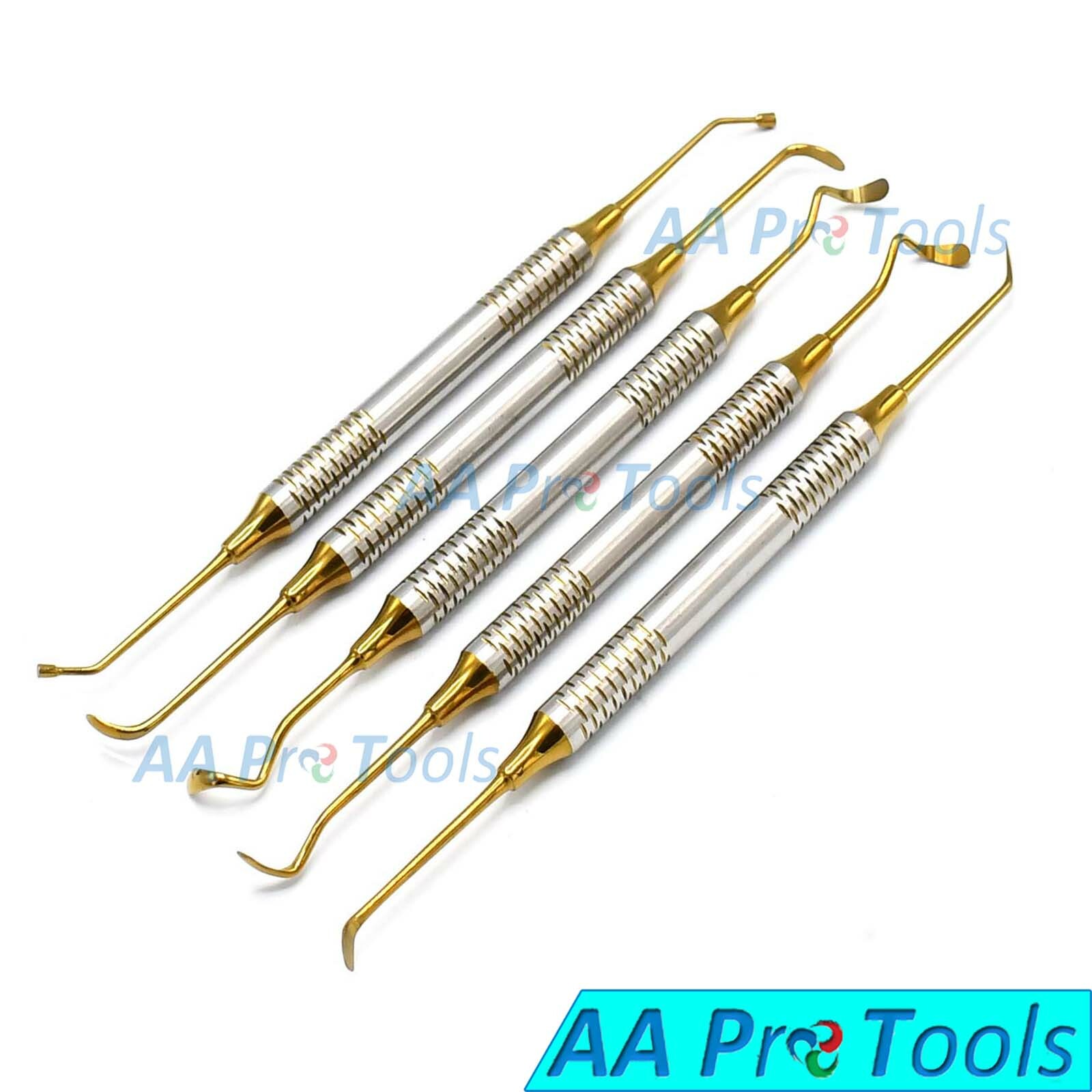 5 Pcs Sinus Lift Instruments Set Kit Imp Dental Dentistry Set DN-2188