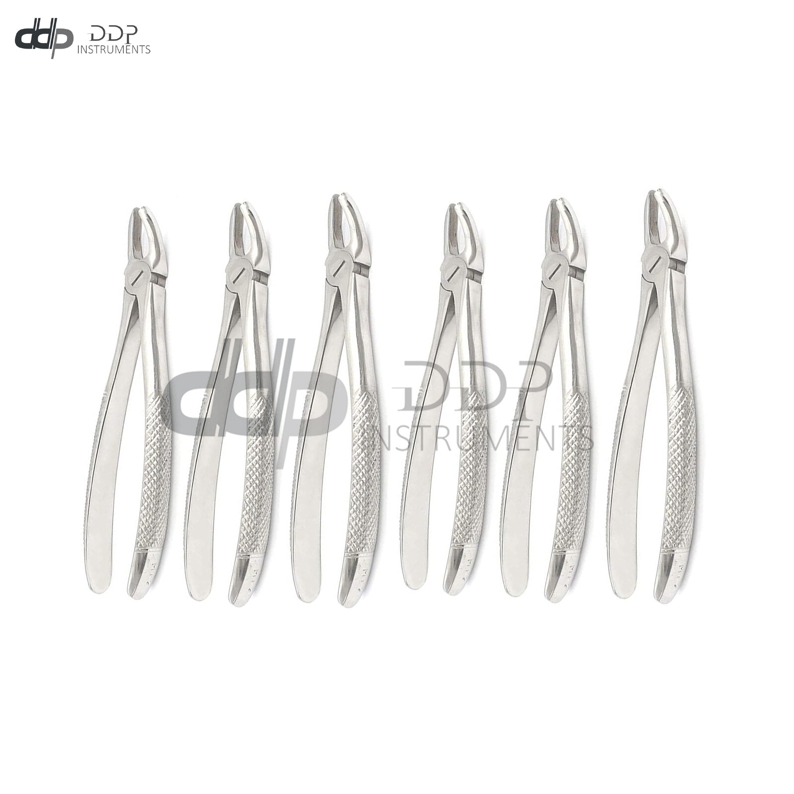 6 Extracting Forceps # MD2 Surgical Dental Instruments