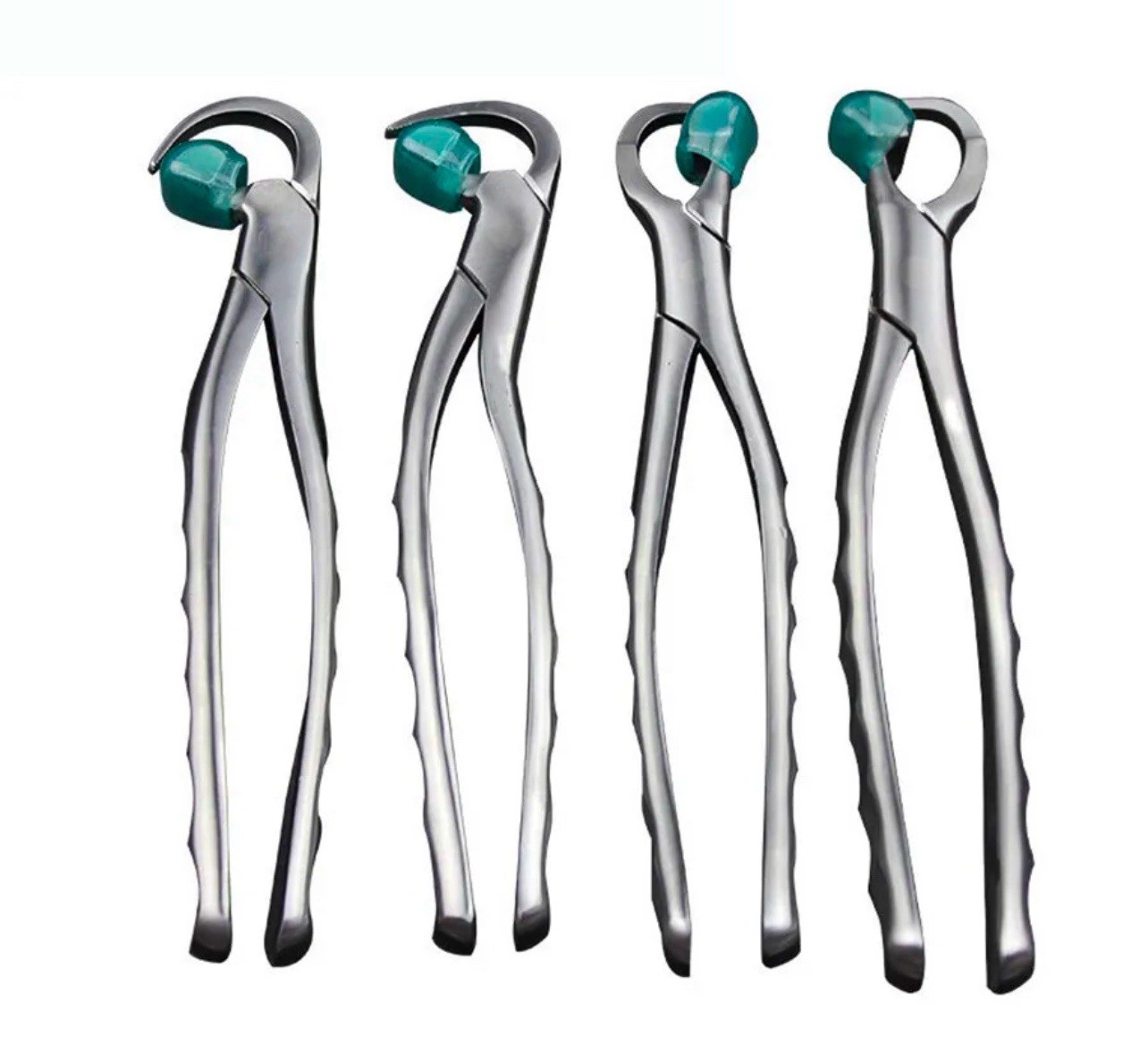 Premium Dental Extraction Forceps Standard Series Set of 4 Pcs (Free 25 Bumpers)