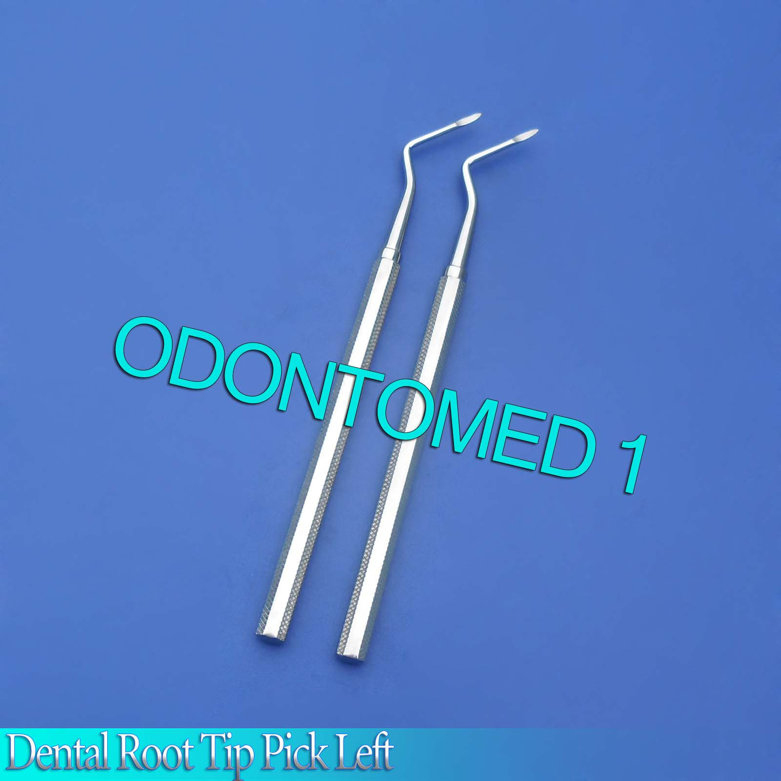 2 Pcs Dental Root Tip Pick Left Dental Instruments Good Quality