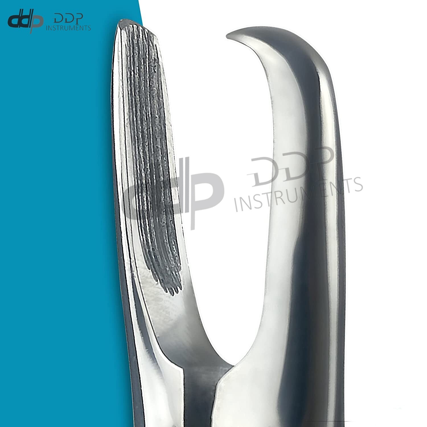 Tartar Remover Forceps Small 7″ Dental Surgical Oral Hygiene Plaque German Grade