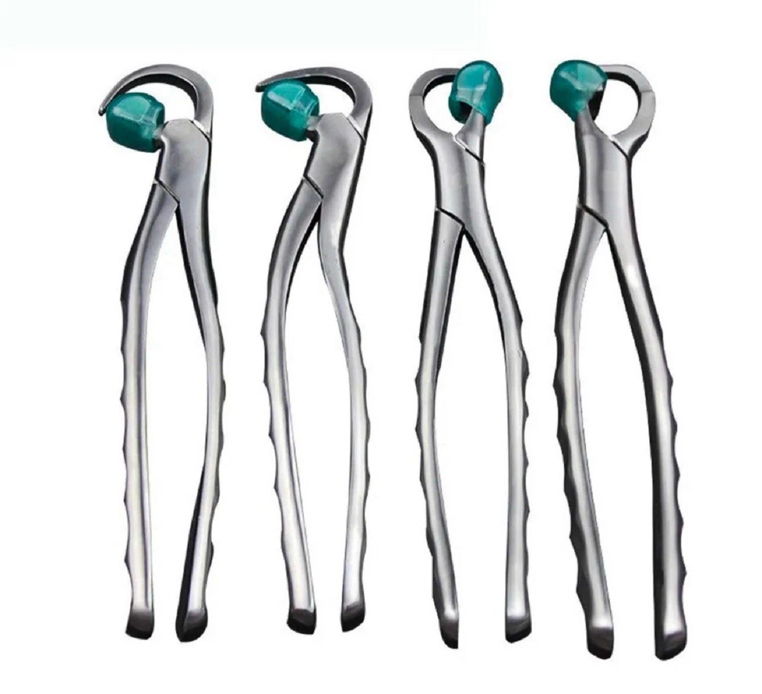 Premium Dental Extraction Forceps Standard Series Set of 4 Pcs A+Grade