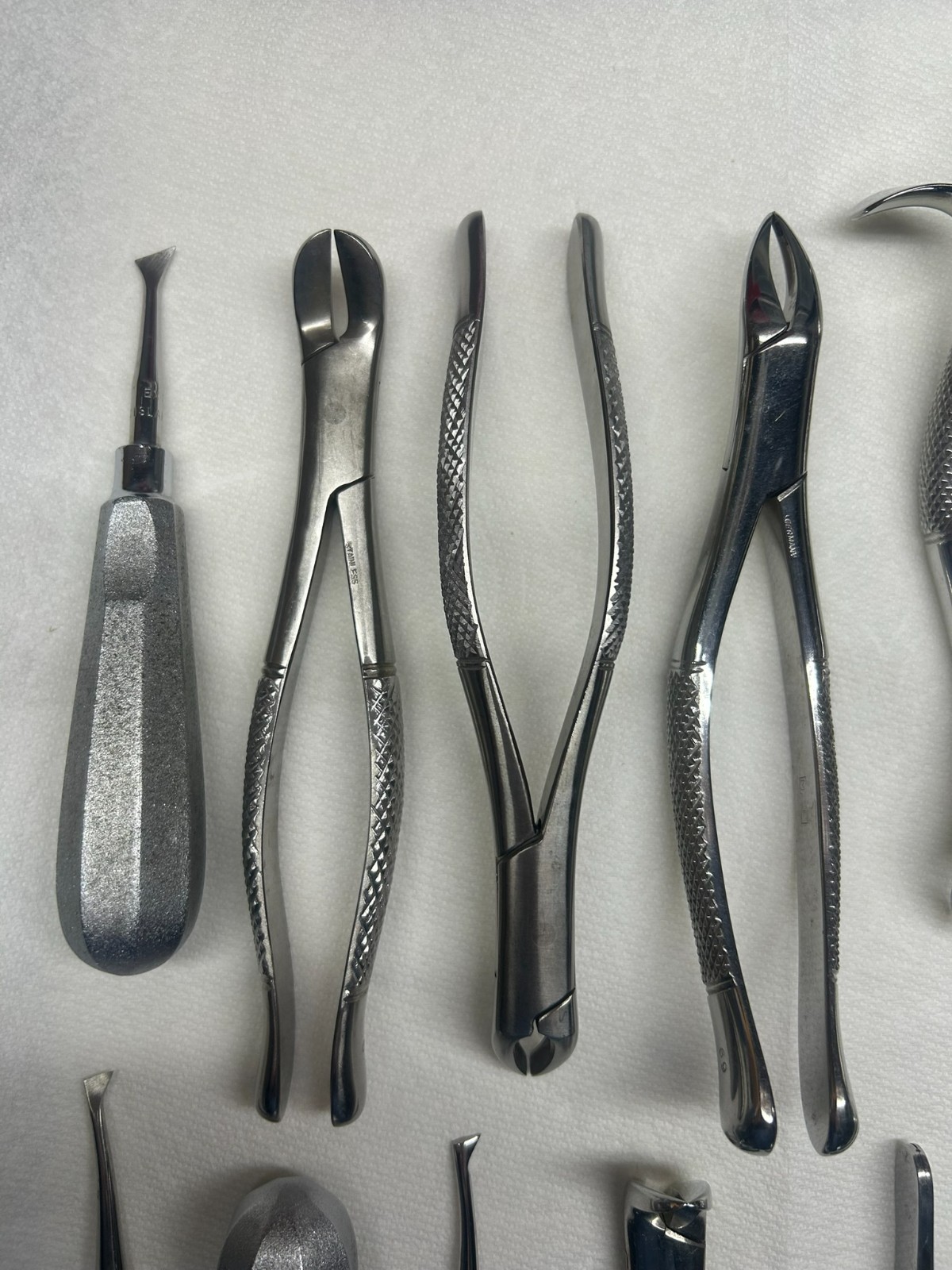 Veterinary Dental Instruments Extraction Set Elevators Forceps Scalers Curettes