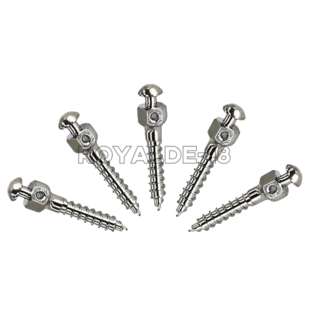 Dental Orthodontic Mini An Implant Micro Screws Titanium TC4 Screw TAS Anchorage