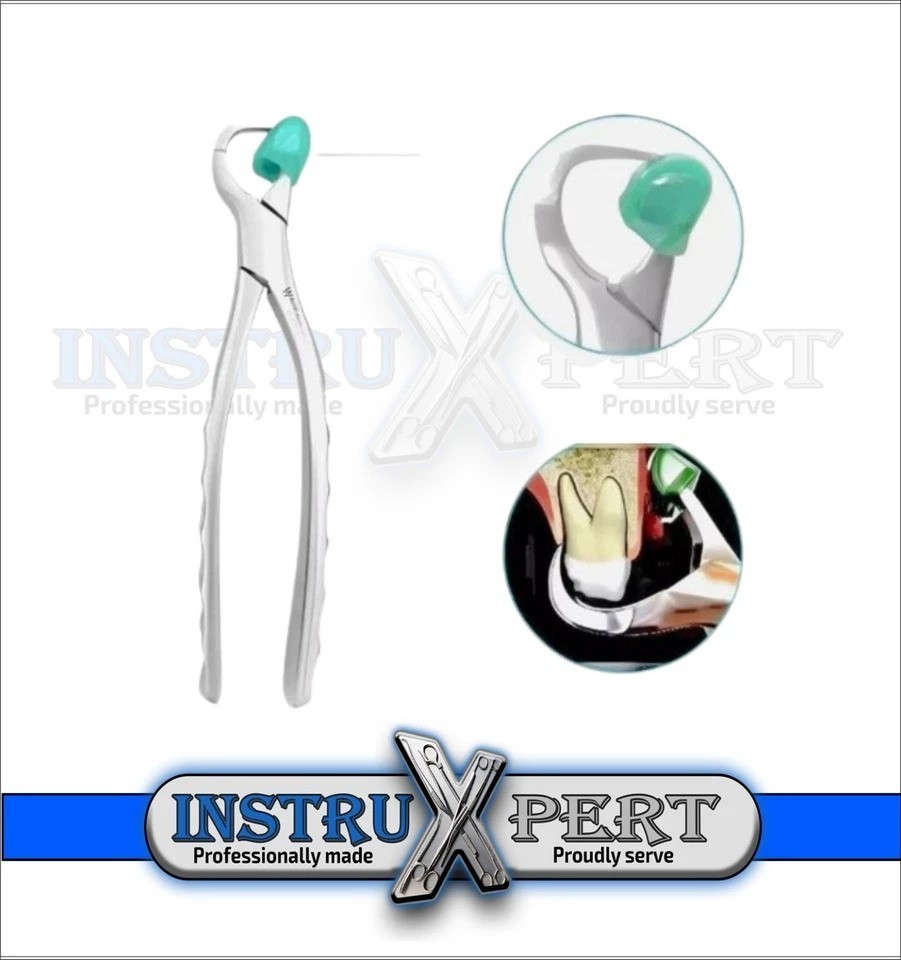 Dental Extraction Physics Forceps Dental Surgery Tools Standard Series Set of 4