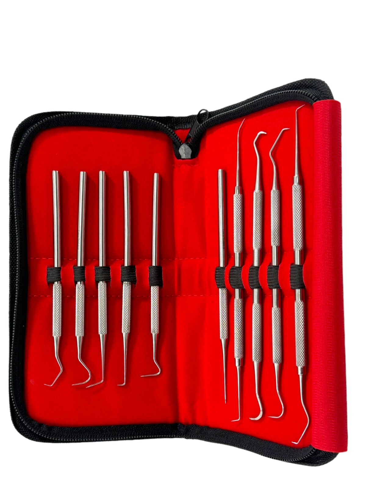 Dental Precision Probe Micro Oral Care Picks Single & Double Ended- 10 Piece Set