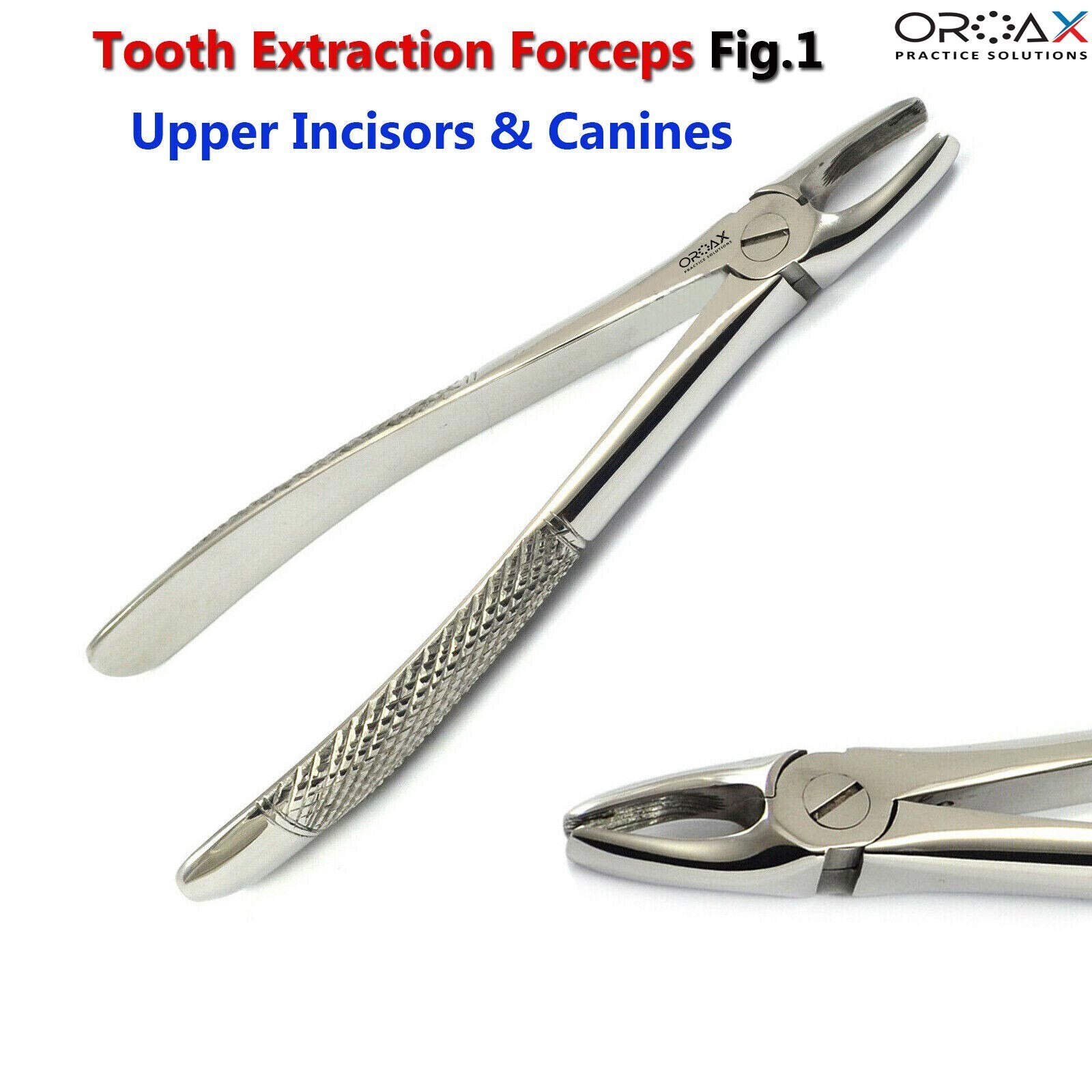 Fig 1 Upper Centrais & Canines Surgical Dentistry Tooth Extraction Instruments
