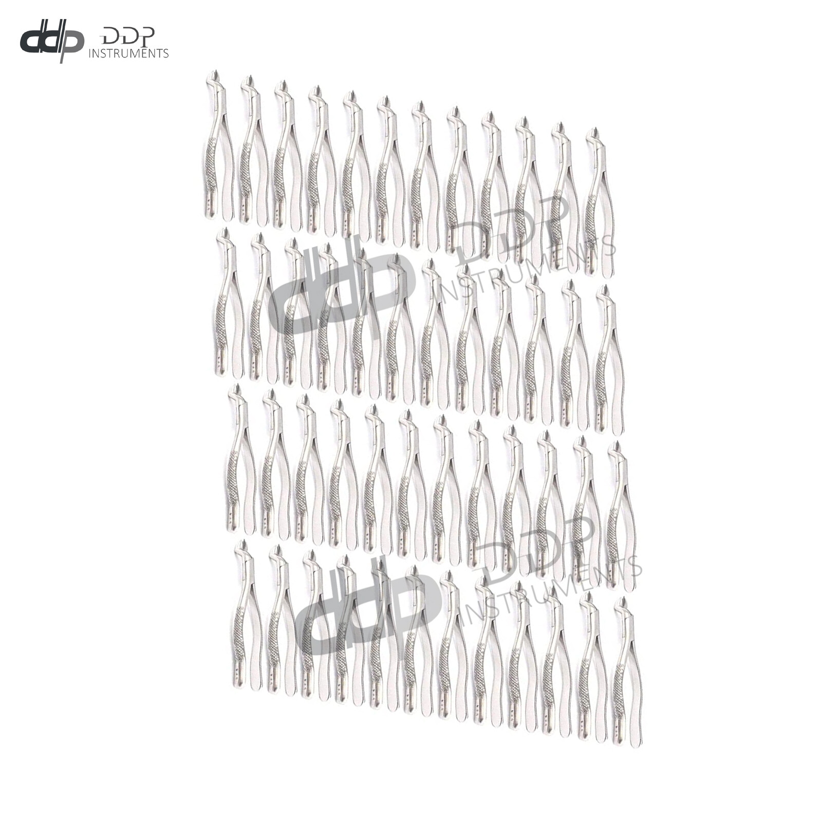 Lot Of 100 Pieces Dental Extracting Forceps # 53R Surgical Dental Instruments