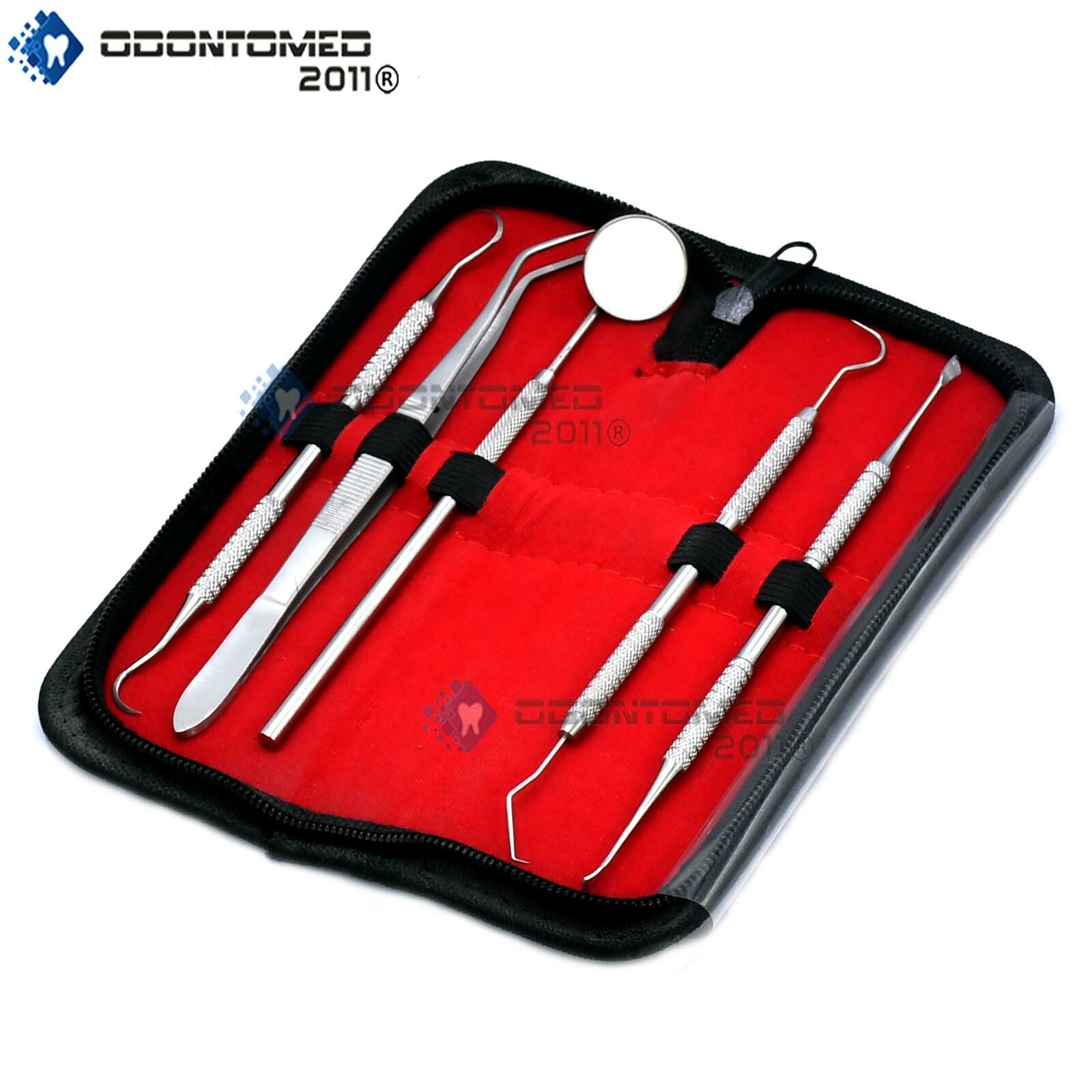 ODM Basic Dental Hygiene Kit Stainless Steel Dental Instruments PR-299