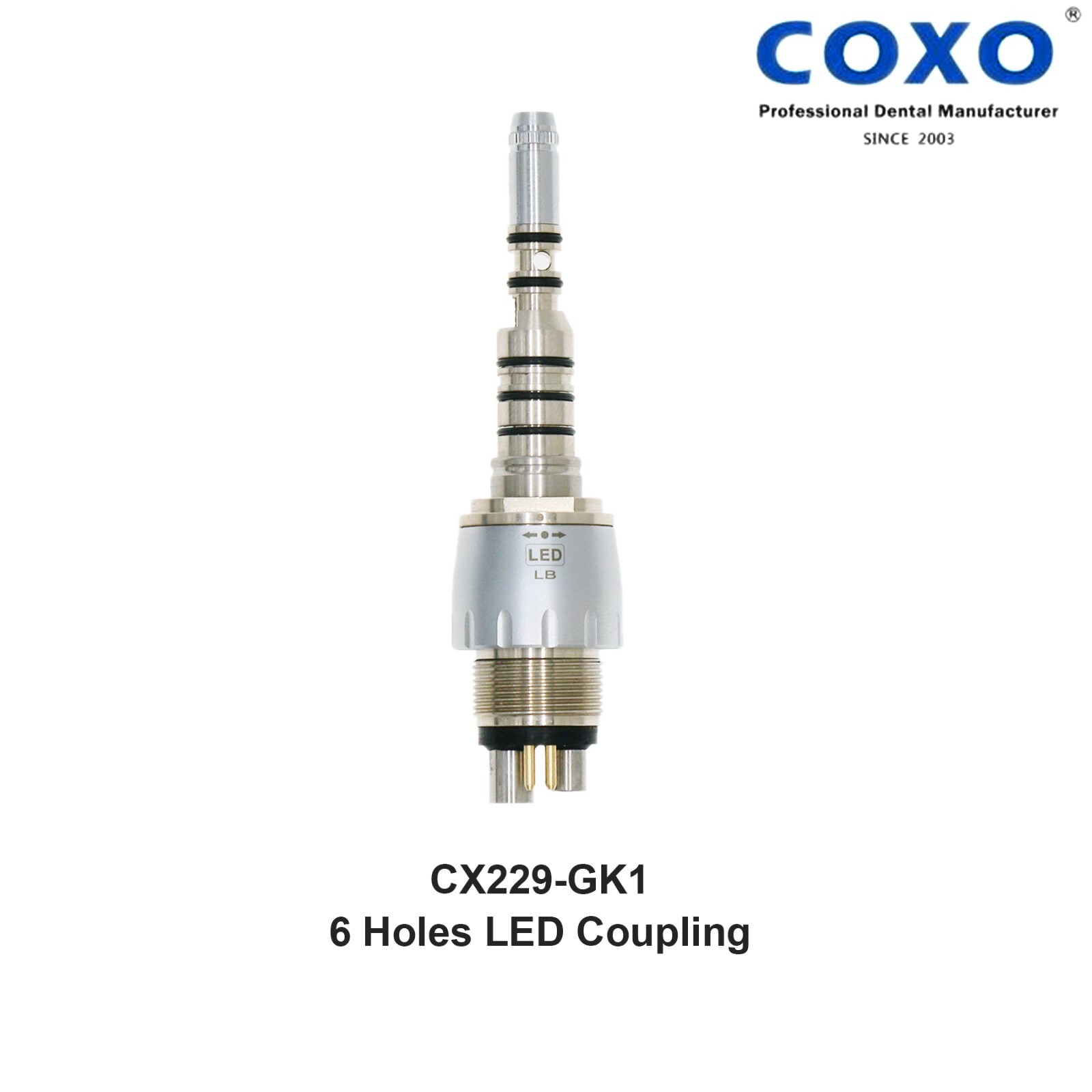 Dental Hygienist Air Flow Prophy For Kavo Multiflex Coupling Mate Jet Polisher