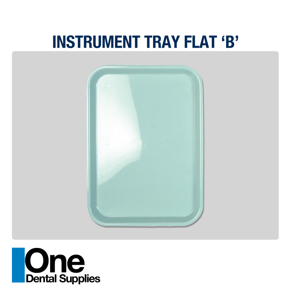 Dental Instrument Trays Flat 10 pcs