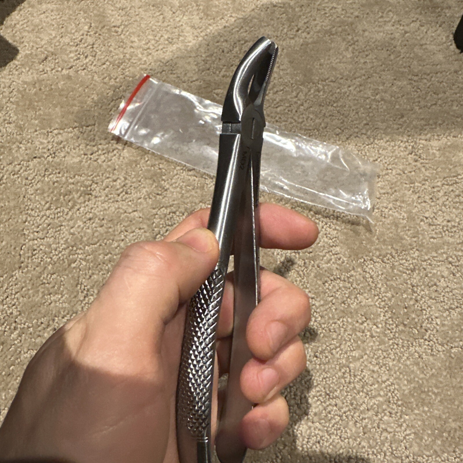 Extraction Forceps MD2