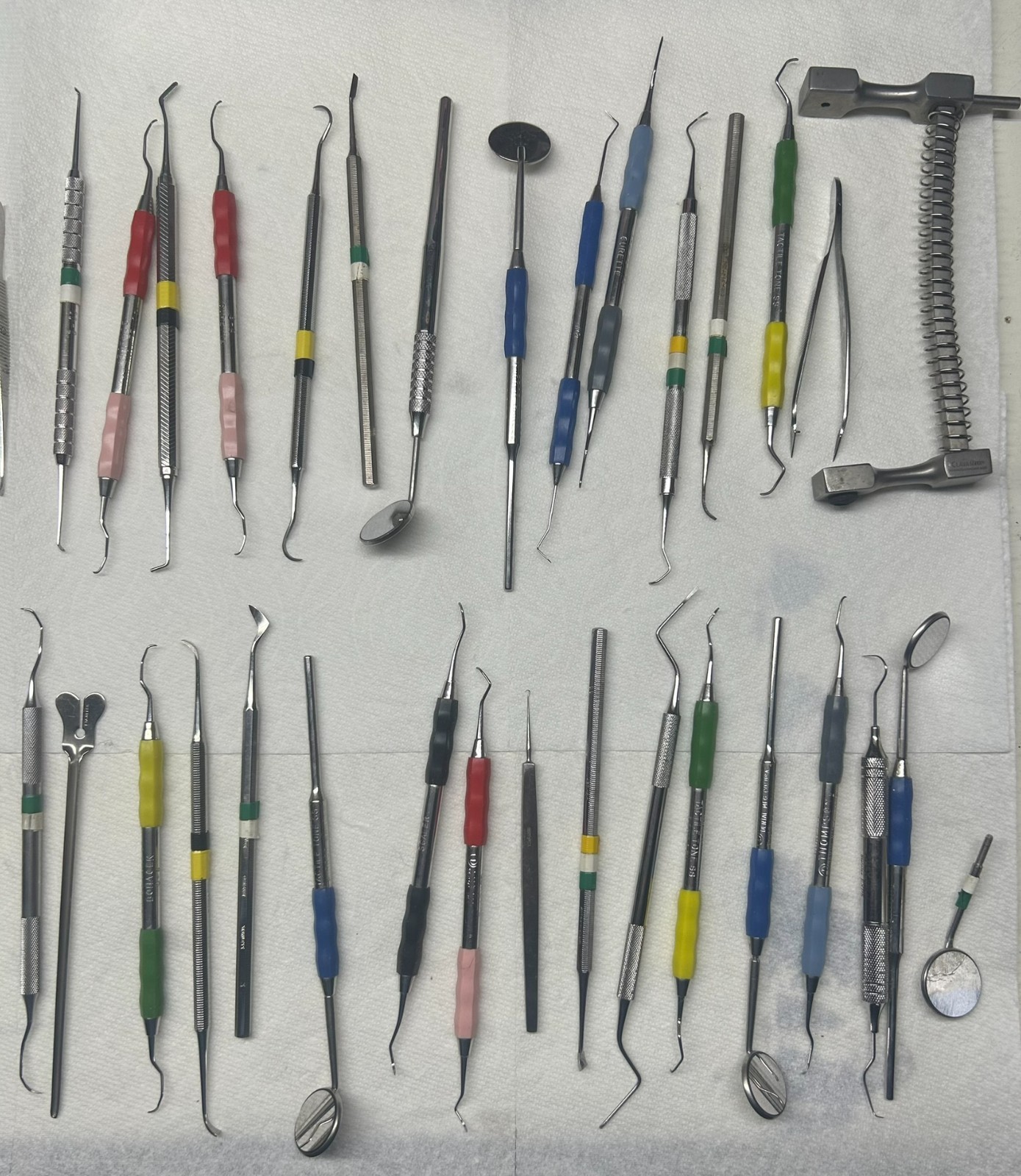 Veterinary Dental Instruments Extraction Set Elevators Forceps Scalers Curettes