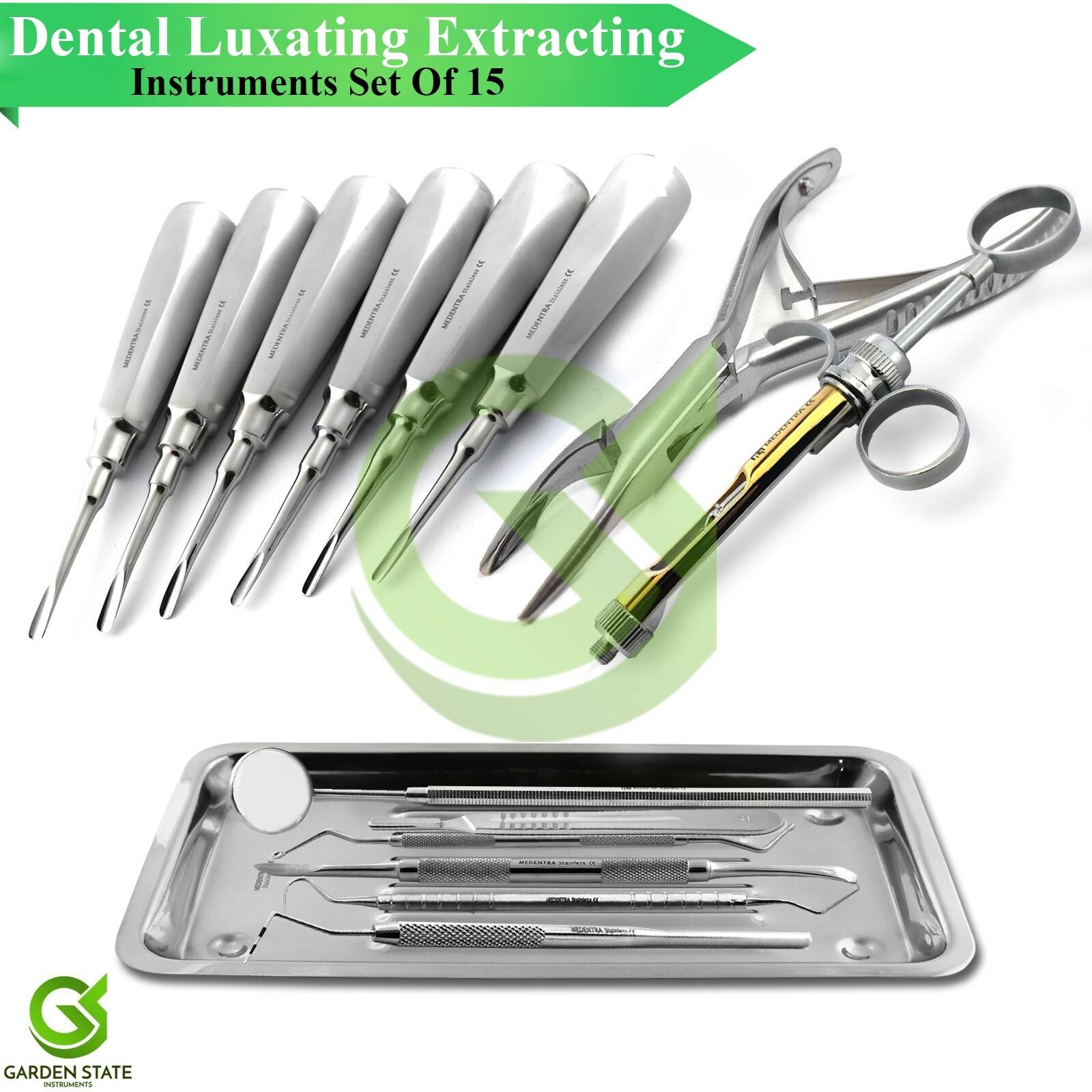 15Pcs Dental Oral Surgery Extracting Elevators Luxating Forceps Scaler Tray