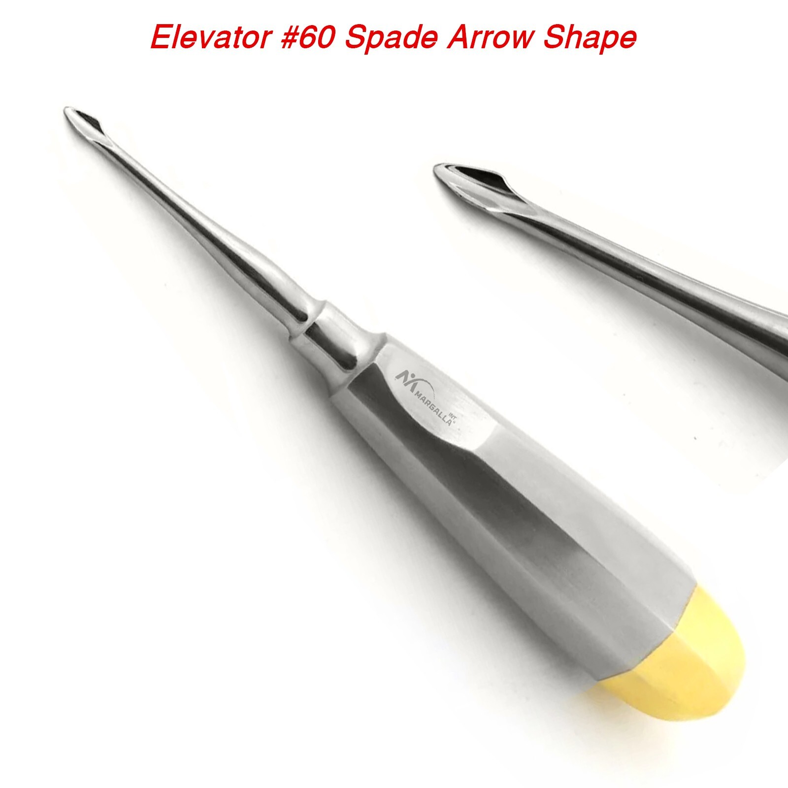PDL Arrow Shape Root Elevator Dental Luxating Serrated Spade Luxation #60