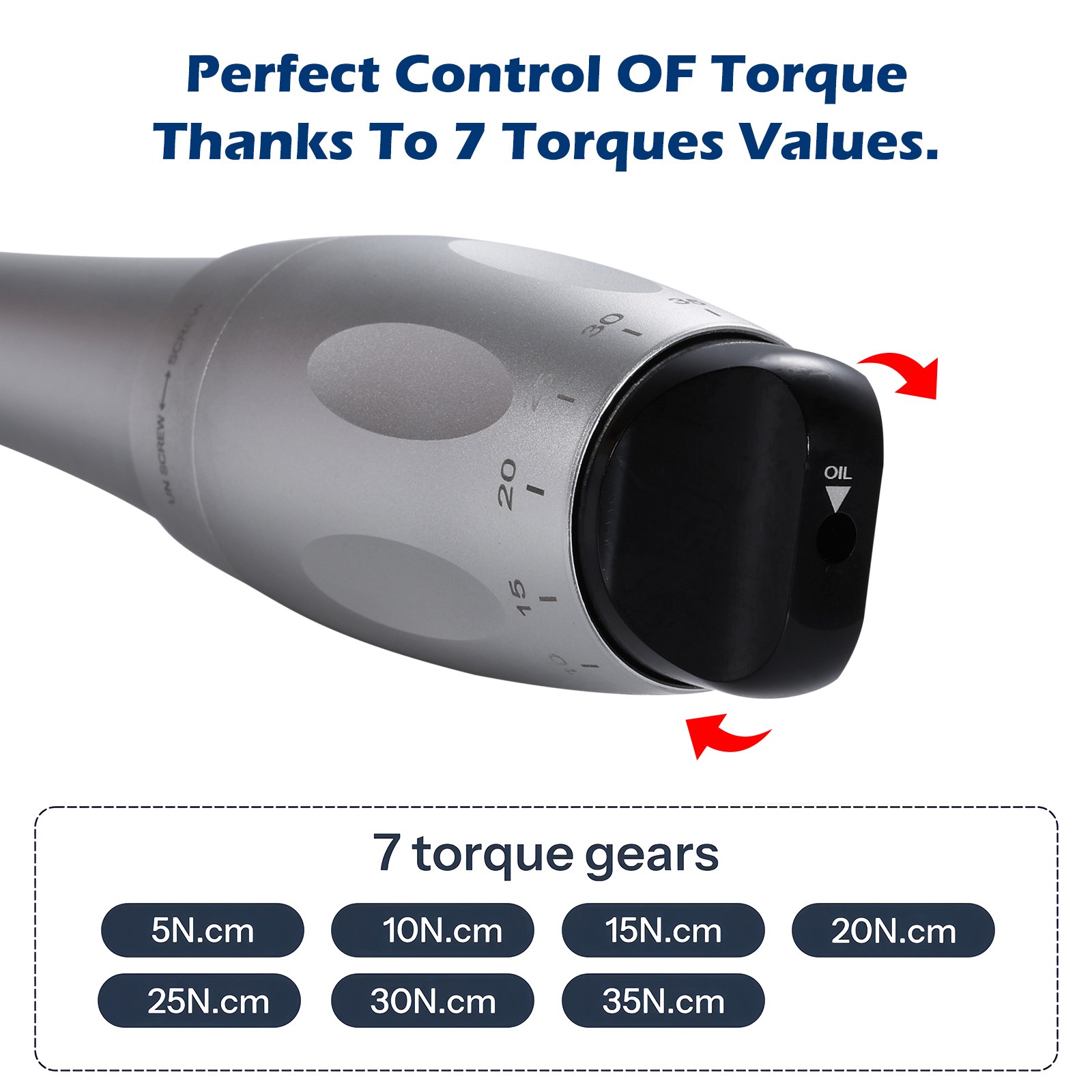 Dental Universal Implant Kit Torque Wrench Contra Angle & 16pcs Drivers Silver