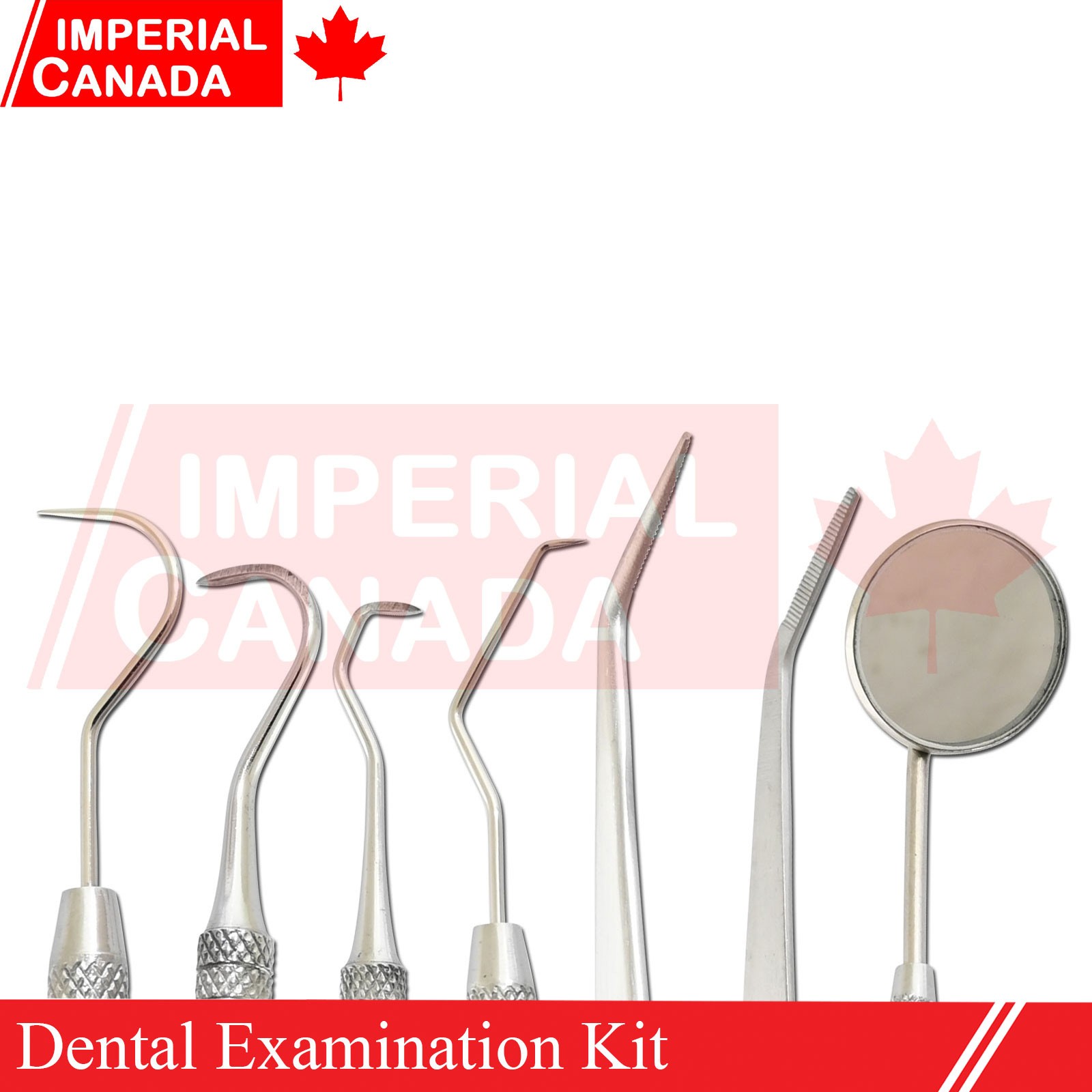4 Pcs Basic Prophy Small Kit Dental Instruments Oral Examination Scalers DN-2542