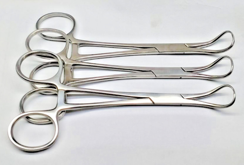 3 X Medical Backhaus Towel Clamp Forceps Dental Surgical Veterinary Instruments