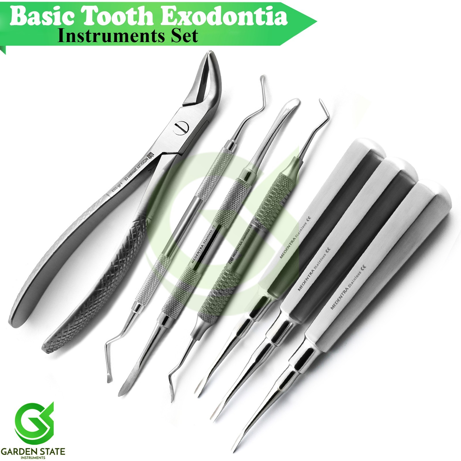 Basic Dental Extracting Exodontia Kit Animal Tooth Extraction Surgery Elevator