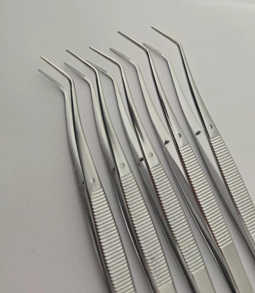 5 Pcs Dental Tweezer College Cotton Dressing Plier 6″ Endodontic Instrument New