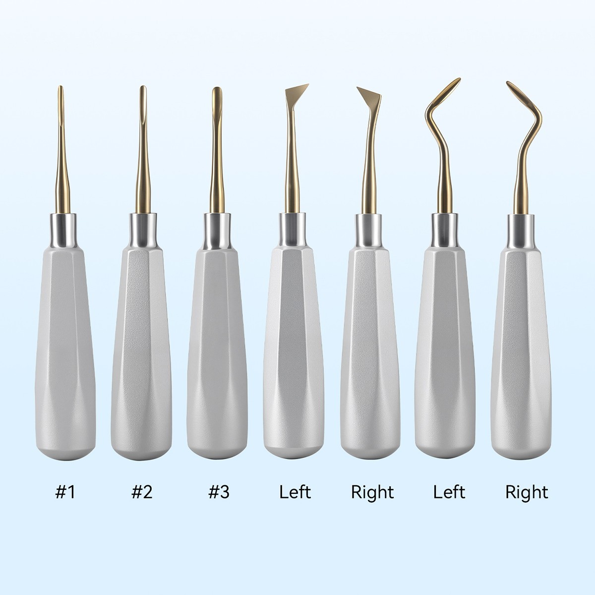 Dental Luxating Elevators Teeth Extraction Tooth Loosening Kit