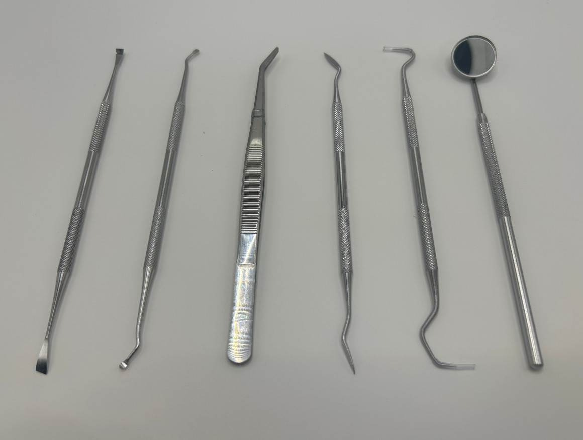 Basic Examination Dental Kit Set of 6 Hygiene Kit Mirror Tweezer Explorer