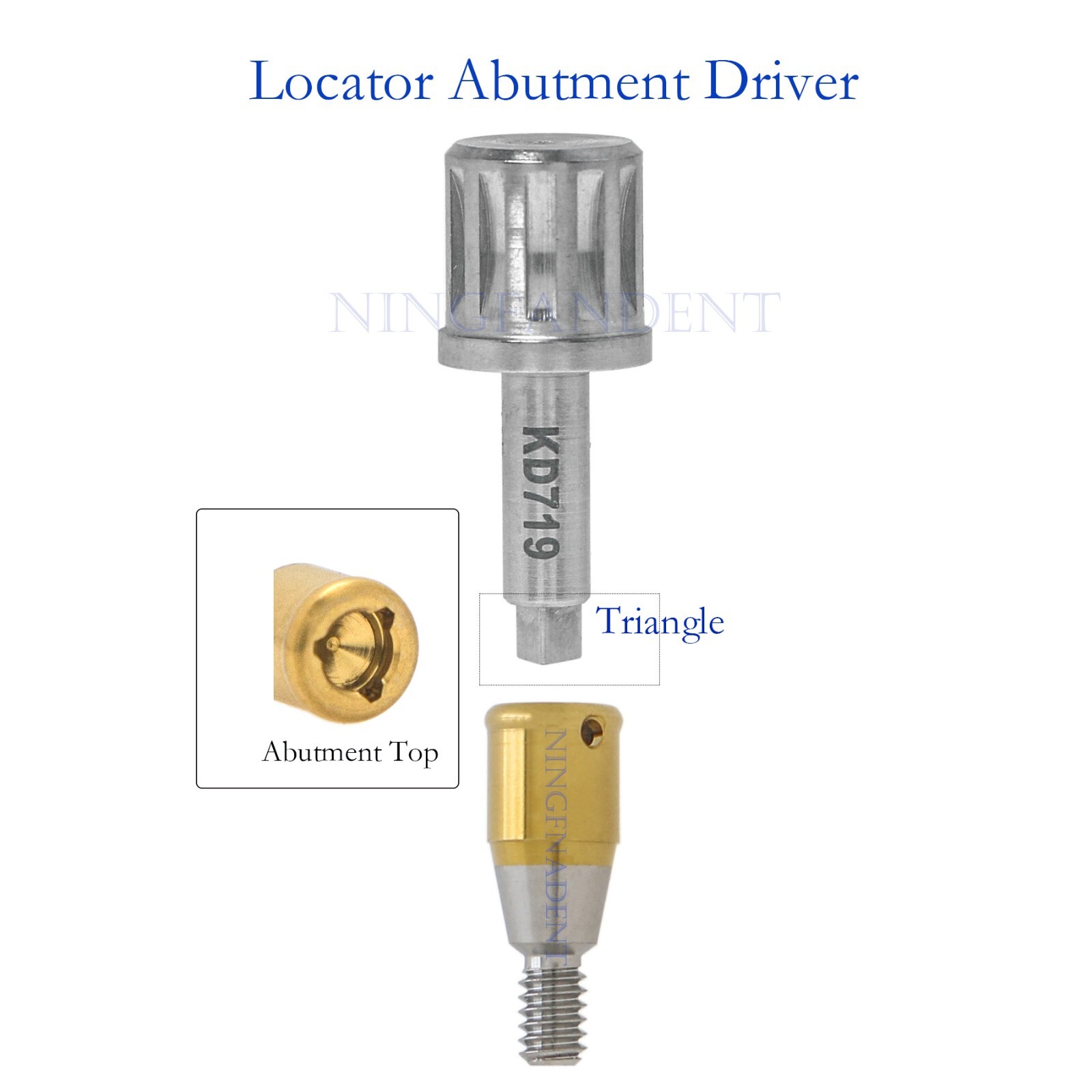 Implant Locator/Multi-unit Abutment Ratchet Driver Dental Torque Wrench Tool