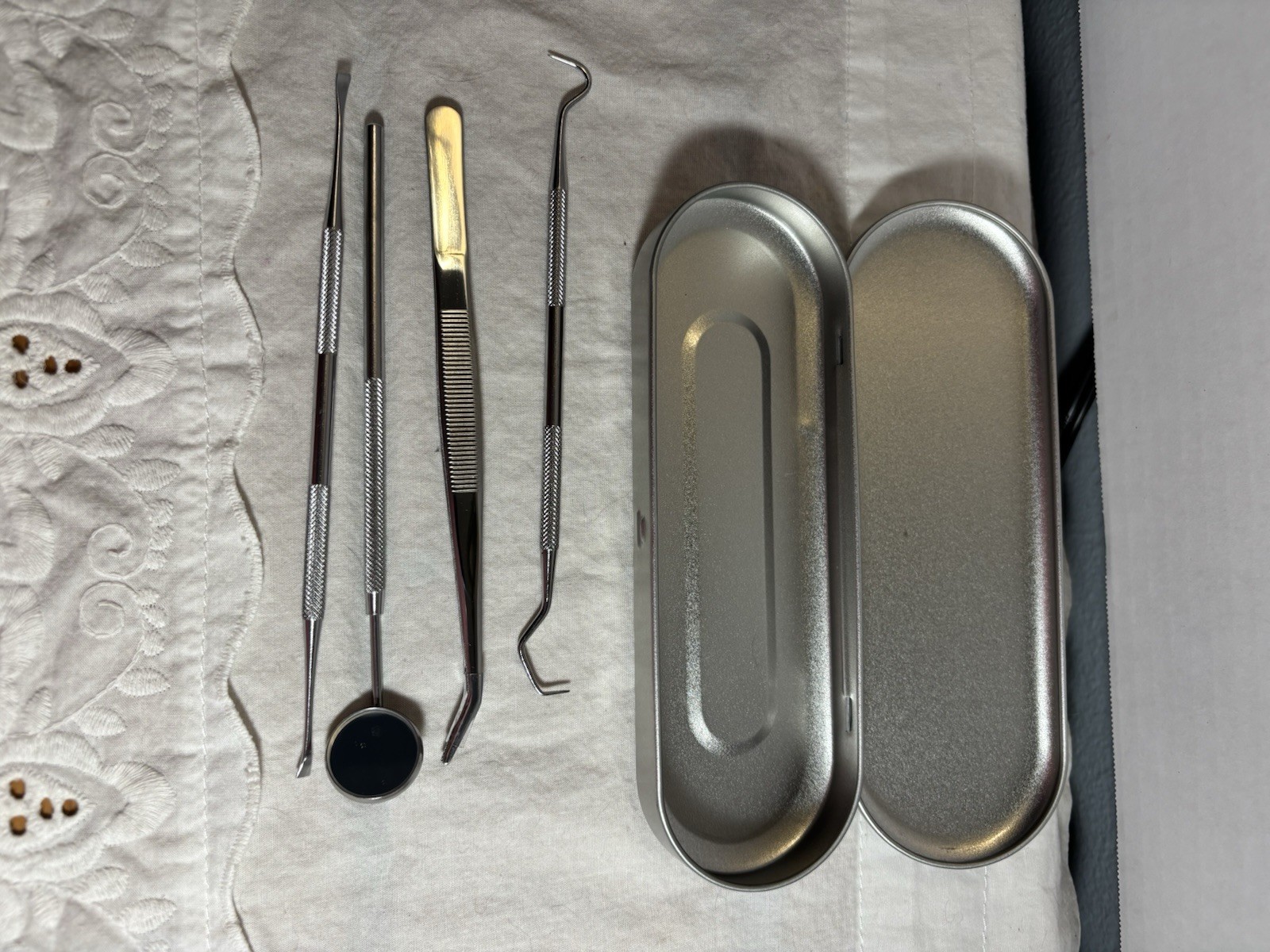 Dental Kit with Storage Box -5 Piece