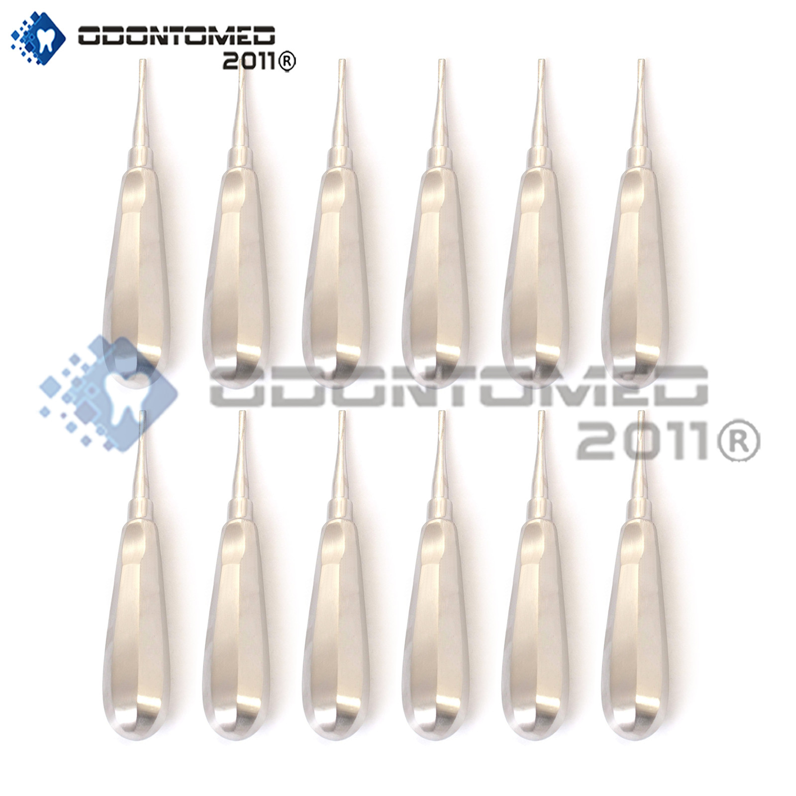 12 Serrated Dental Elevator 3mm Straight Surgical Dental Elevator
