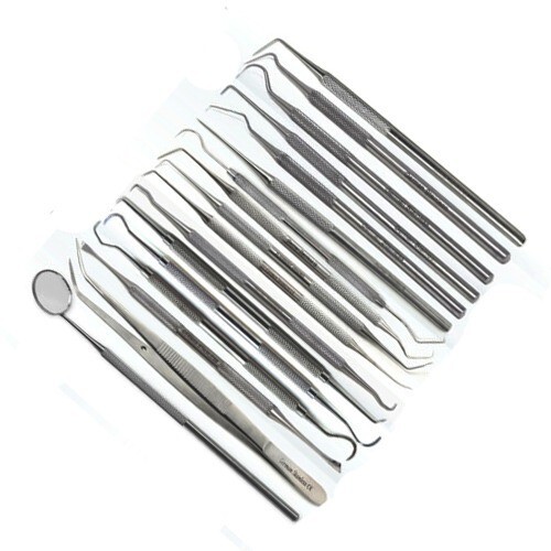Dental Hygiene Tooth Pick Probe Set of 17 Pcs Kit Stainless steel