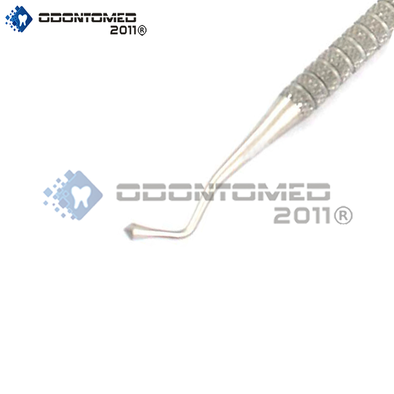 2 Acorn Burnisher # 21B Dental Veterinary Instruments