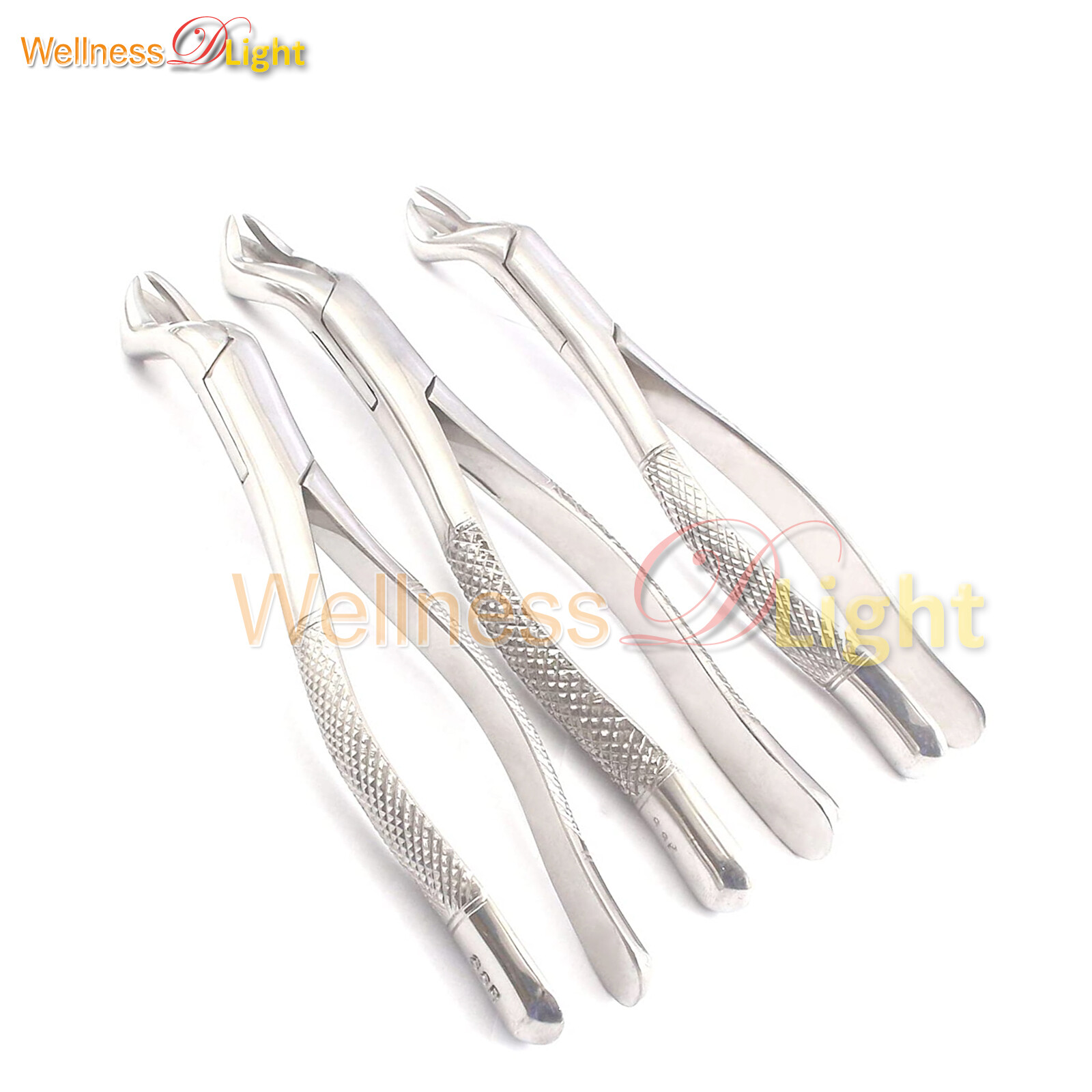 Set Of 3 Pieces Dental Extracting Forceps #88R Dental Extraction Instruments