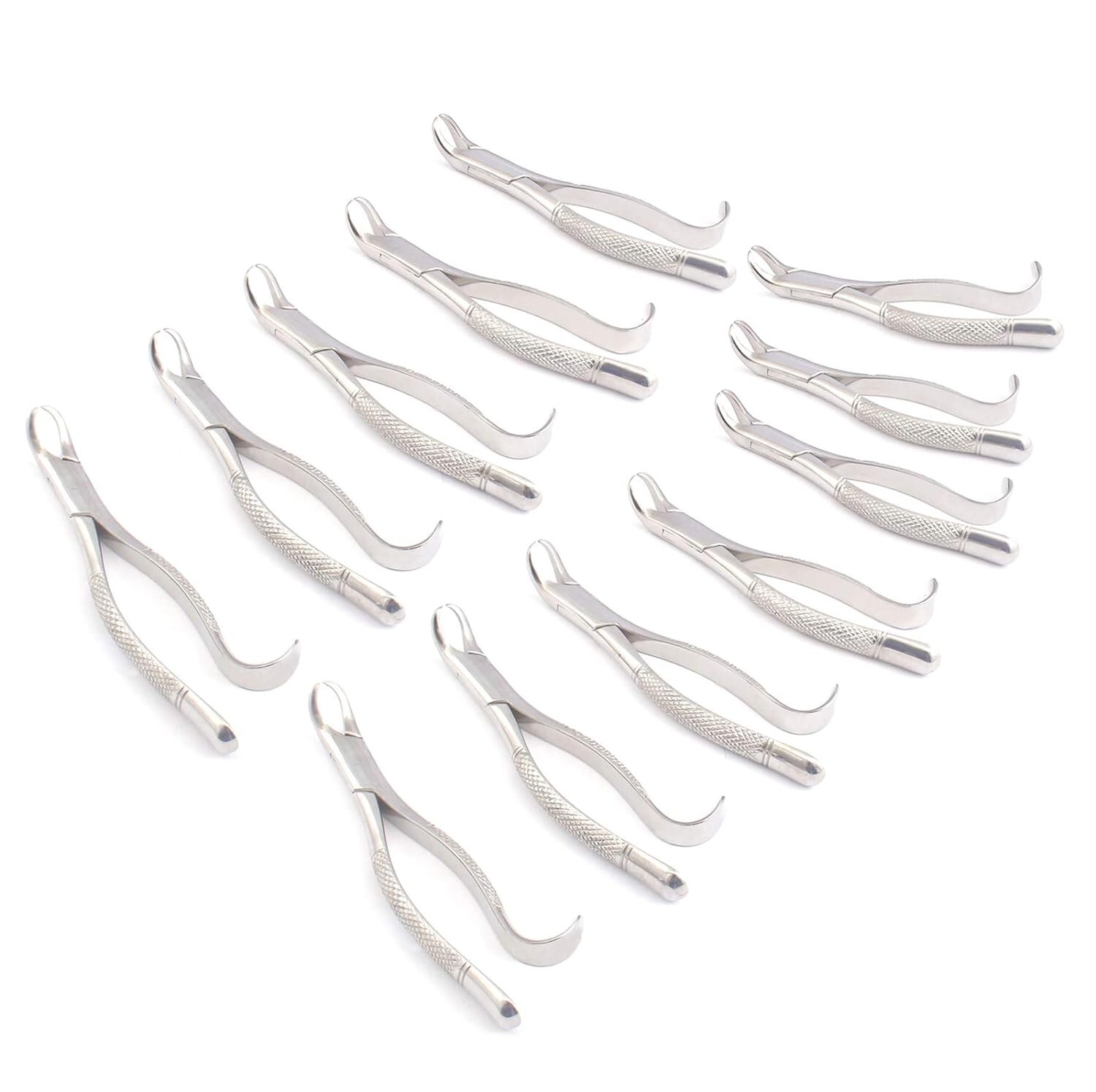 Set of 12 Pcs Dental EXTRACTING Forceps #16S Dental Extraction Instruments