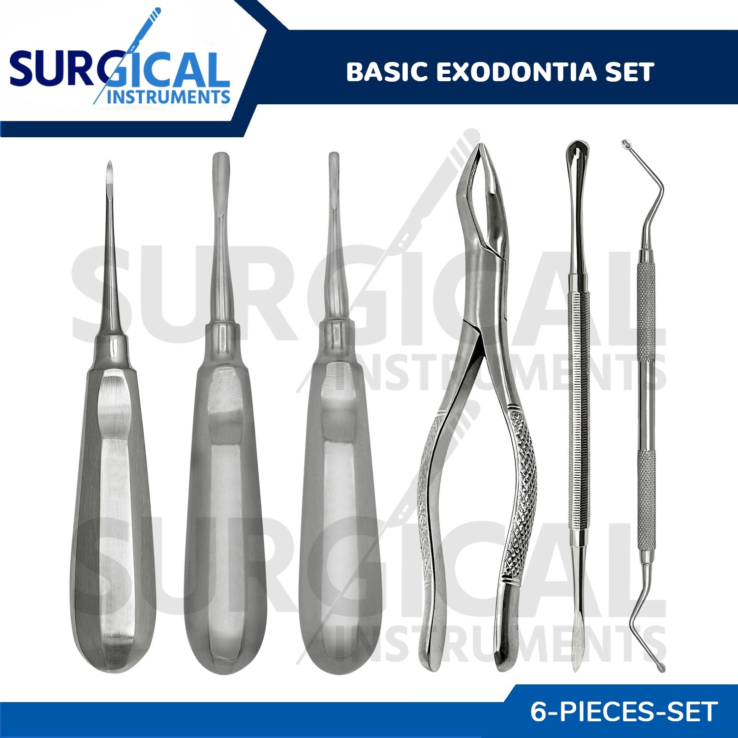6 Pcs Basic Exodontia Set Stainless Steel Surgical Veterinary Instruments Kit